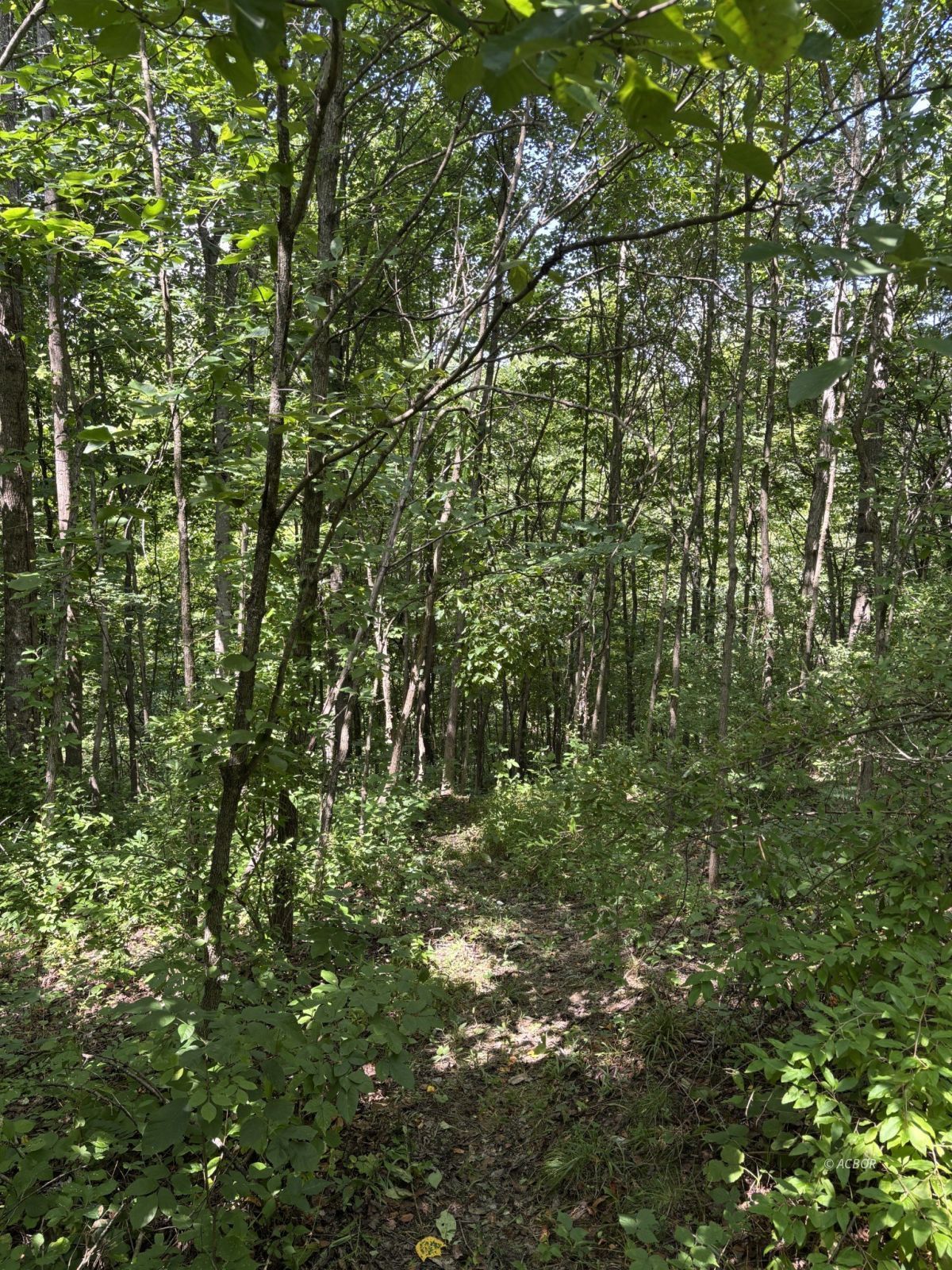 Mill Creek Rd Property Photo 14