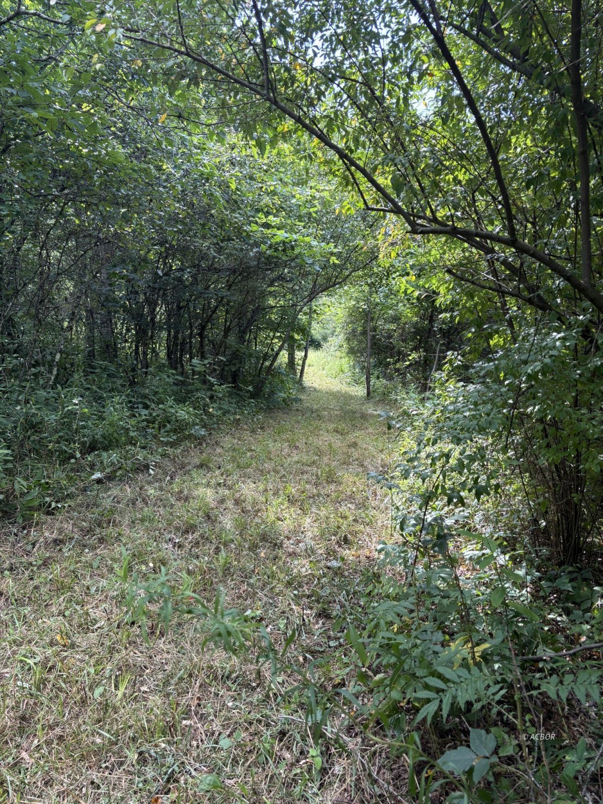 Mill Creek Rd Property Photo 15
