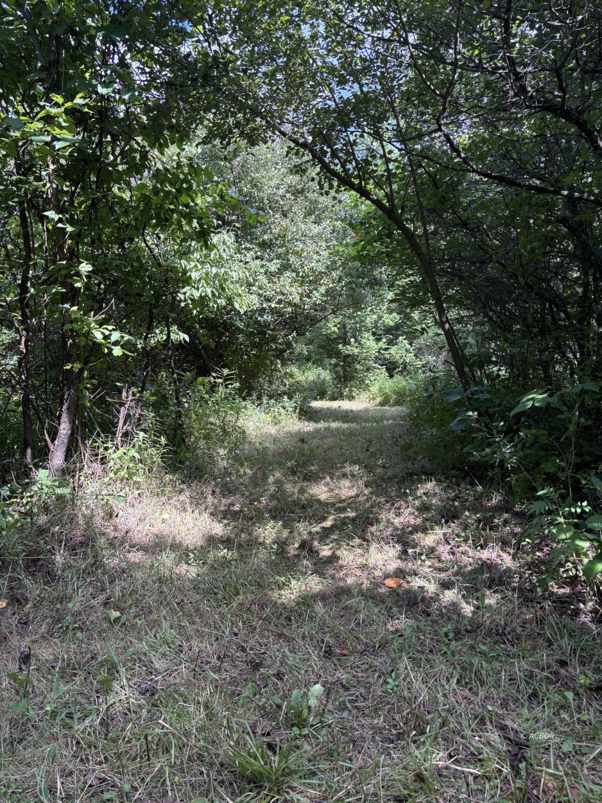 Mill Creek Rd Property Photo 16