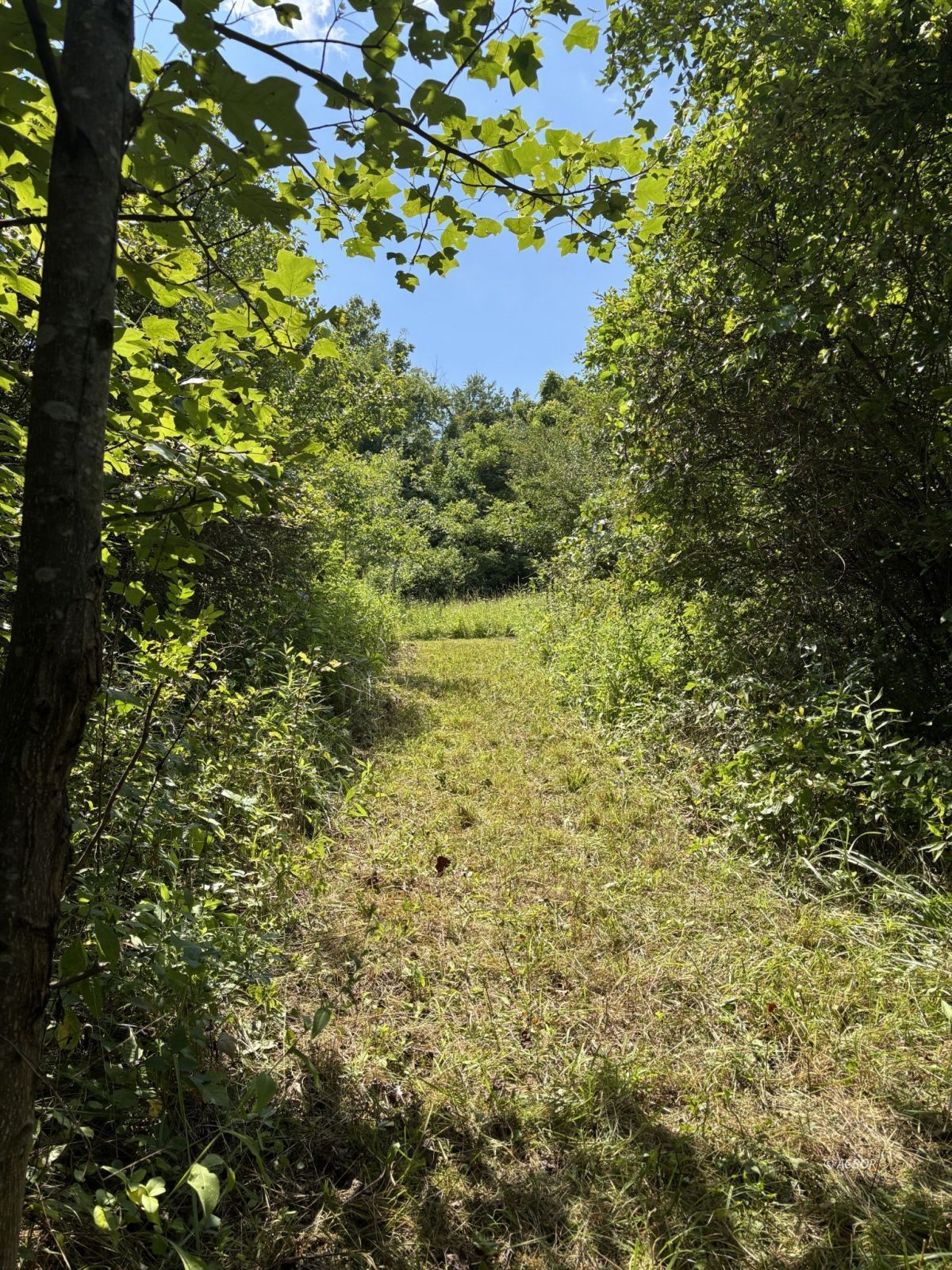 Mill Creek Rd Property Photo 17