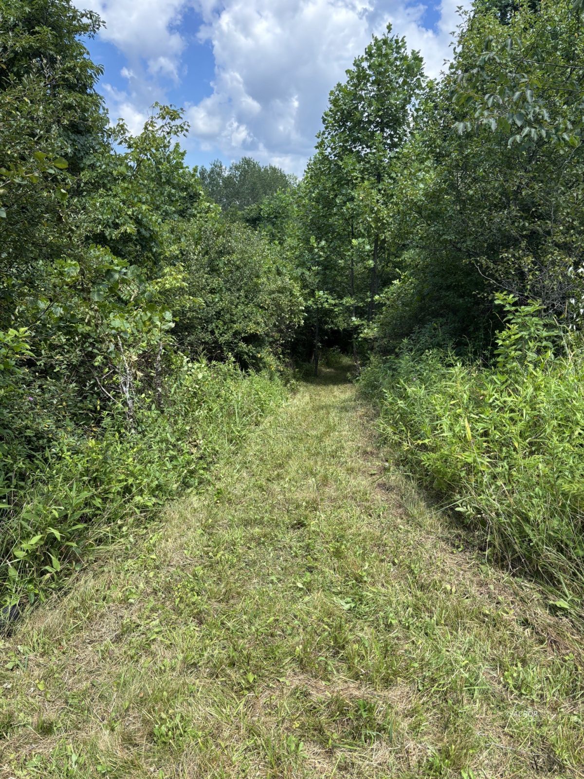 Mill Creek Rd Property Photo 19