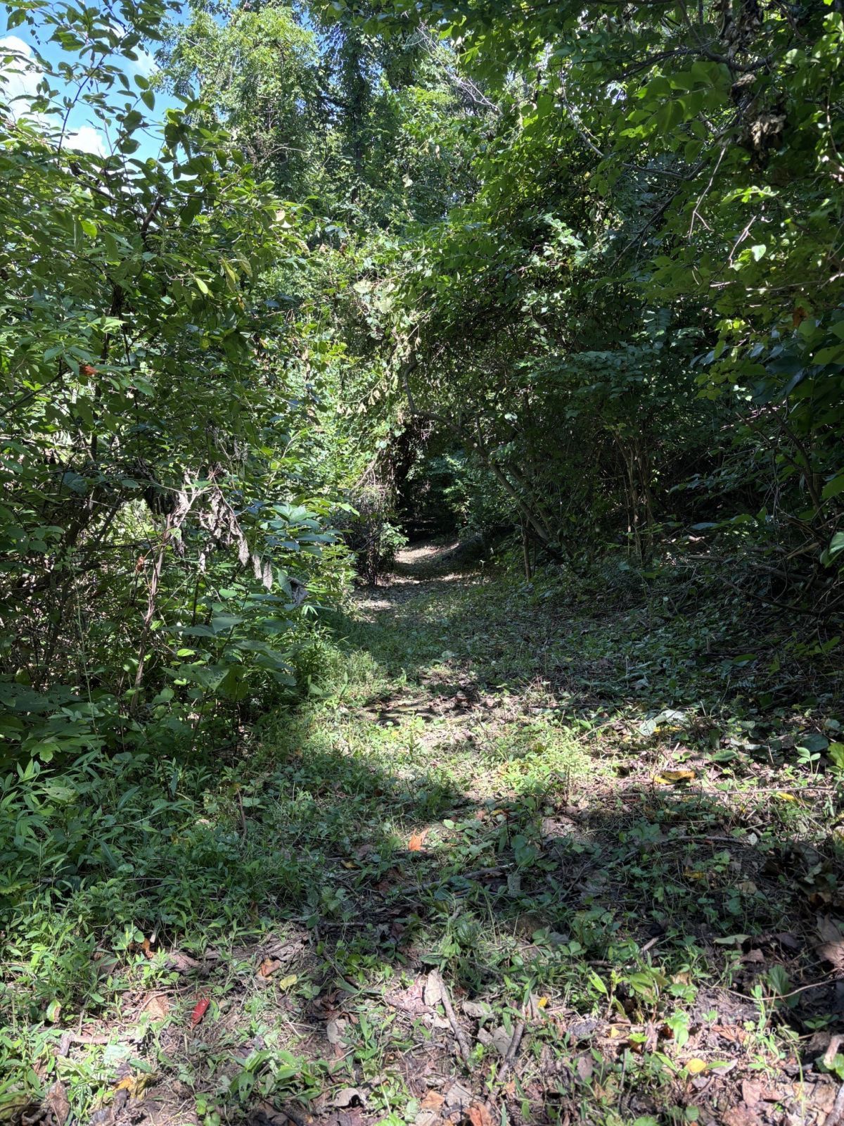 Mill Creek Rd Property Photo 21