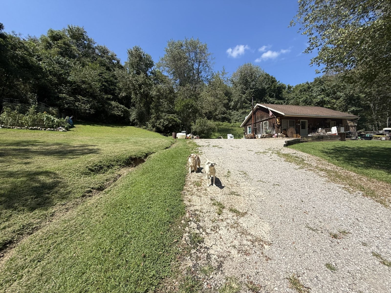 36923 Carpenter Hill Rd Property Photo 4