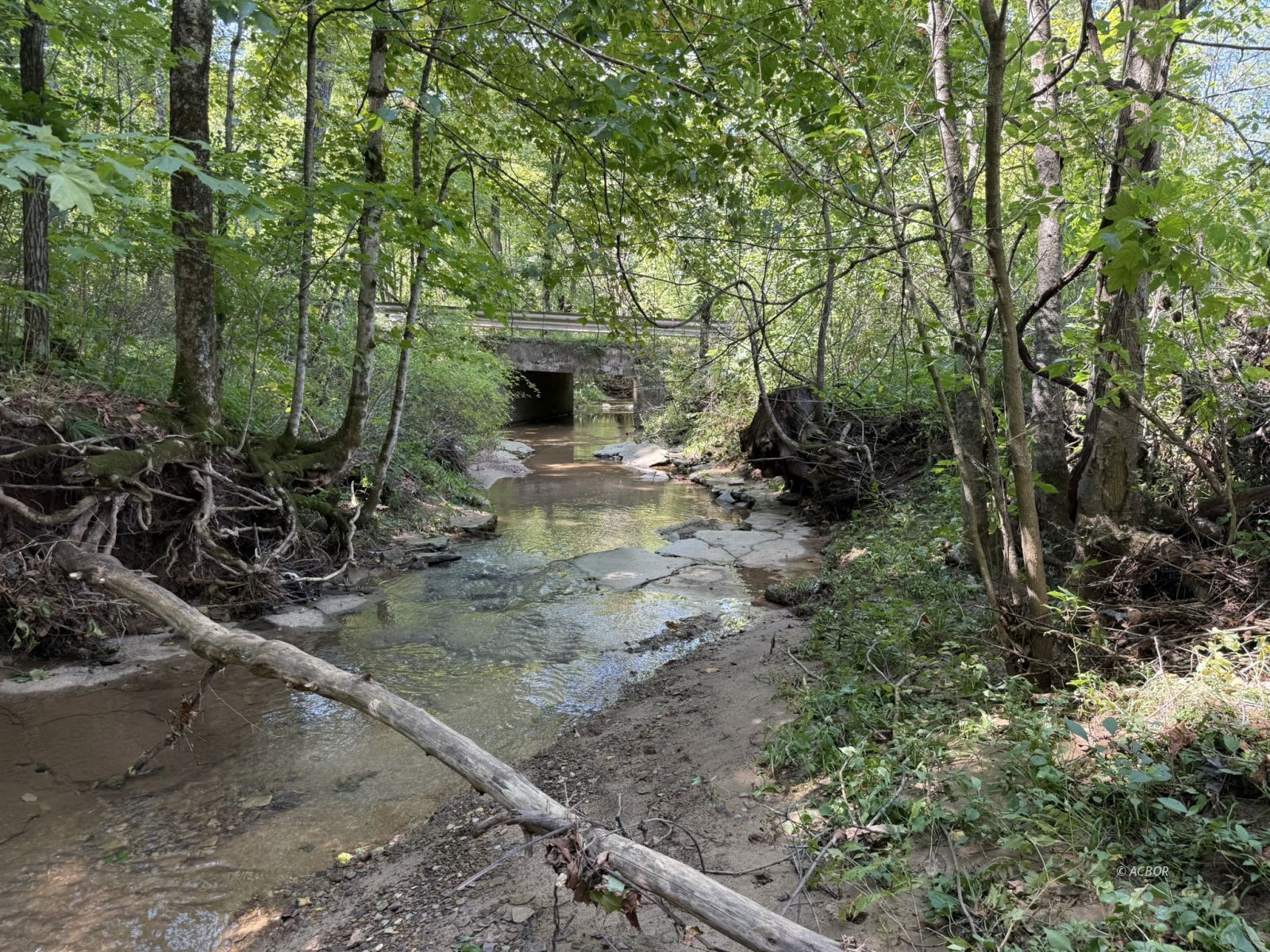 Woodyard Rd Property Photo 3