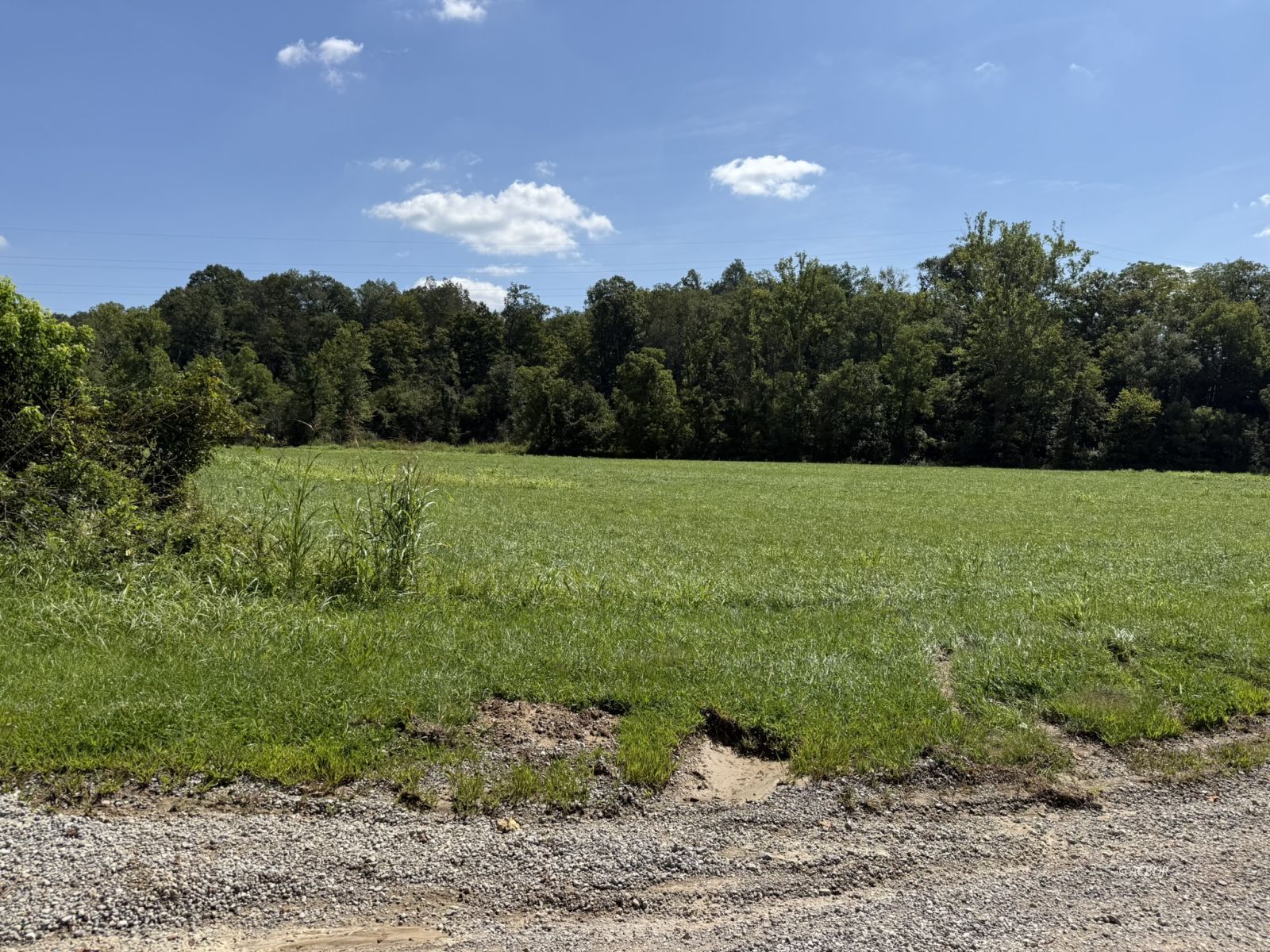 Woodyard Rd Property Photo 4