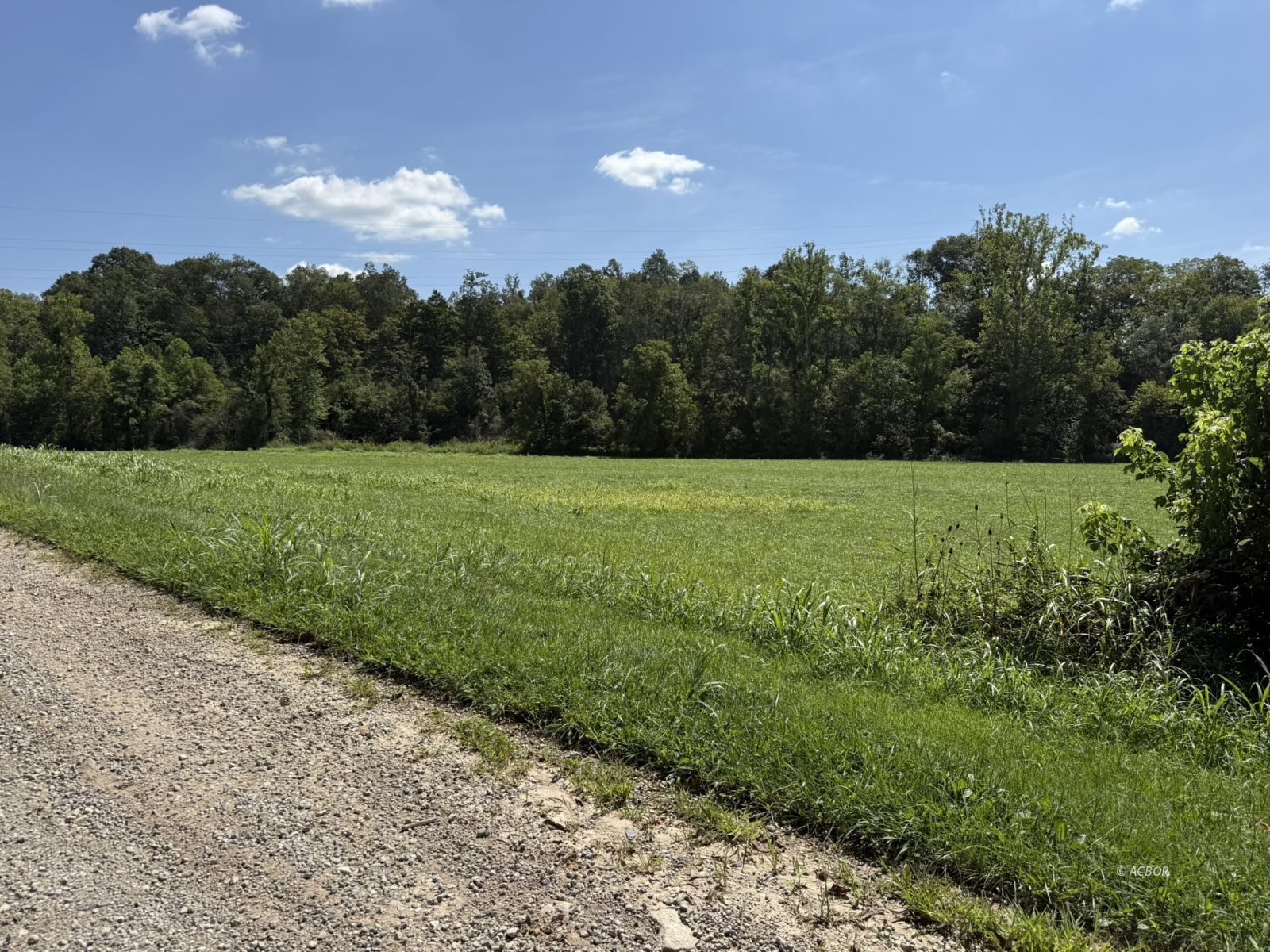 Woodyard Rd Property Photo 5