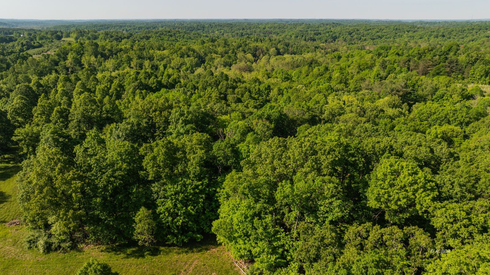 Coolville Ridge. Tract B Rd Property Photo 6