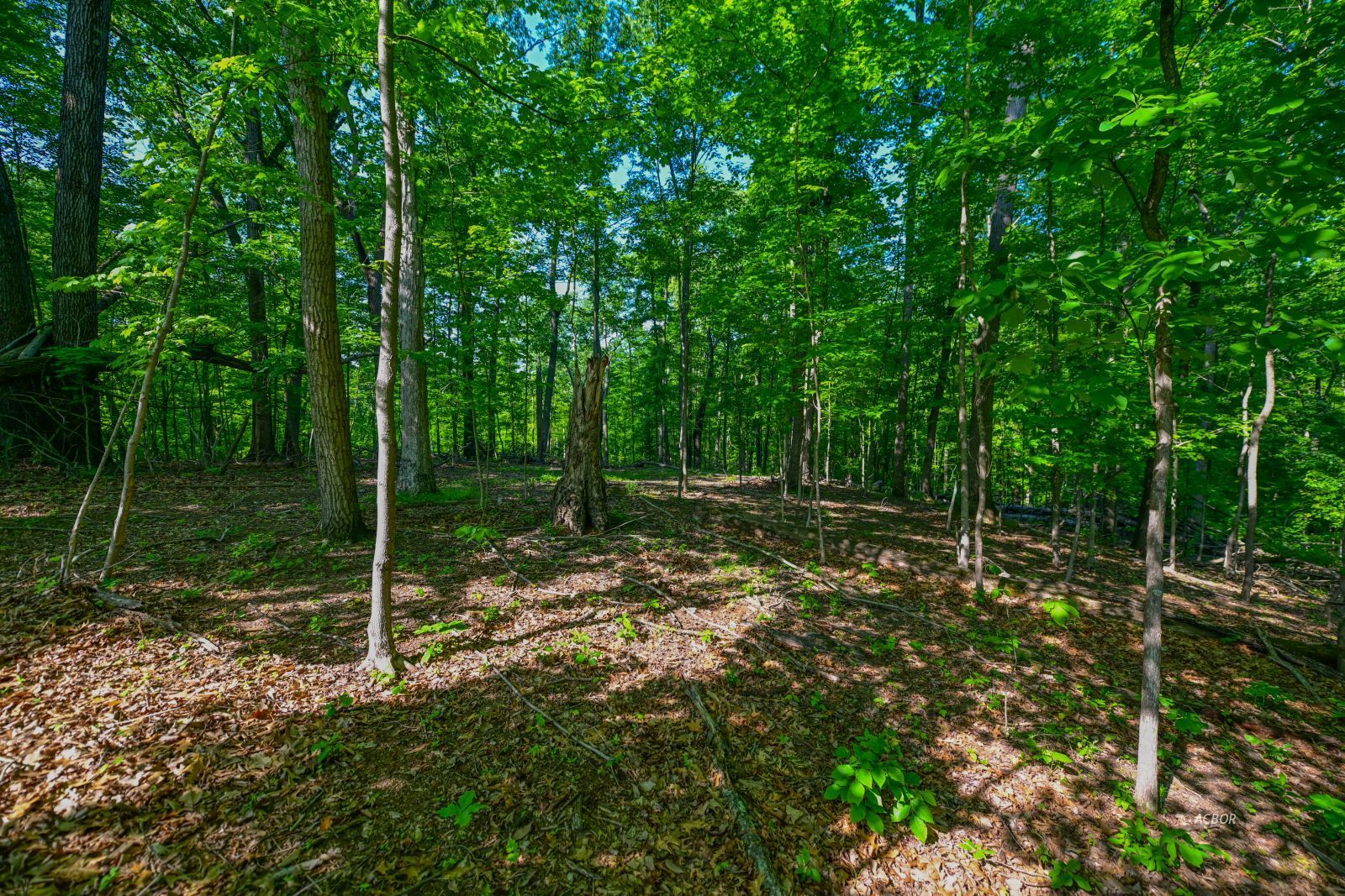 Coolville Ridge. Tract B Rd Property Photo 11