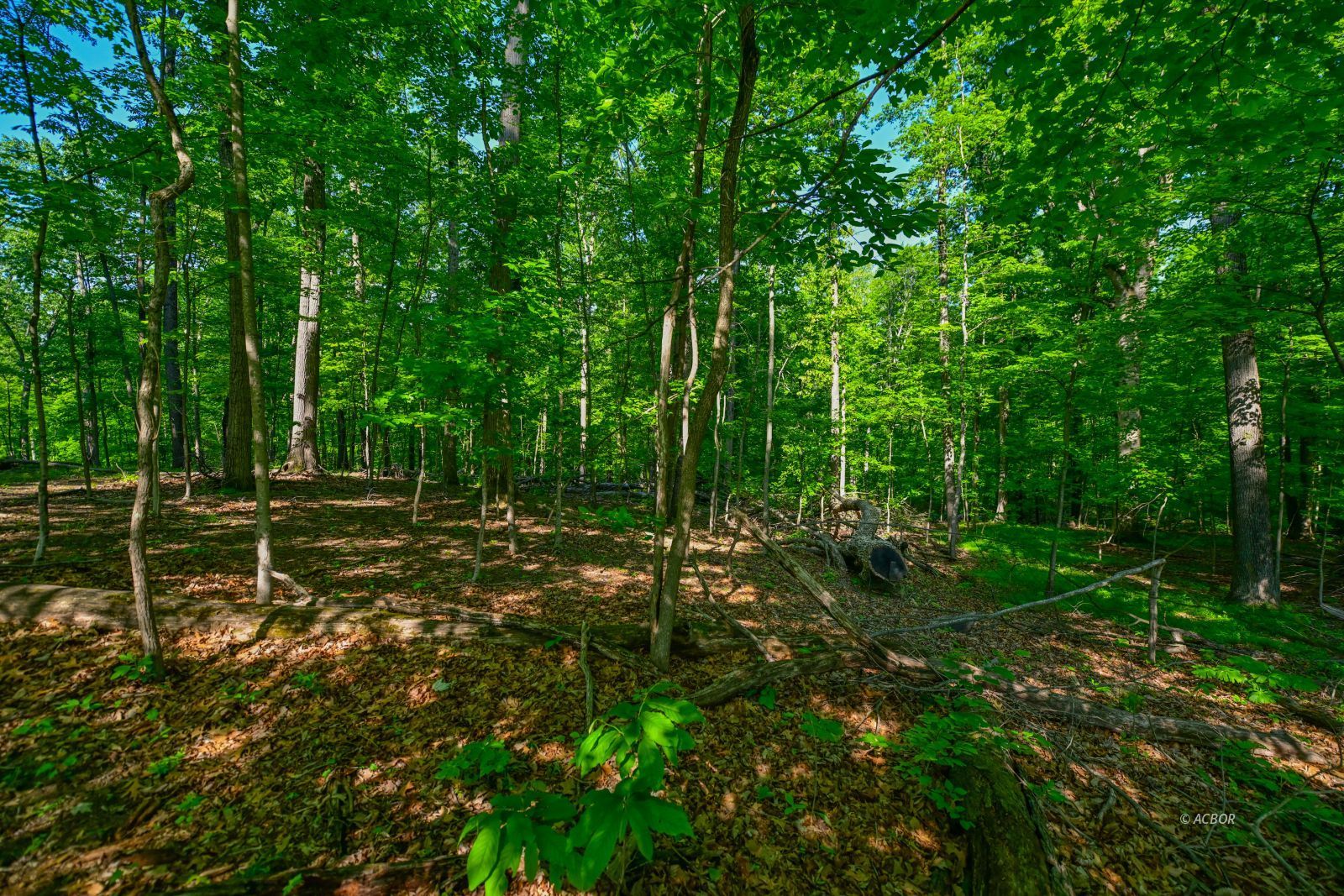 Coolville Ridge. Tract B Rd Property Photo 12