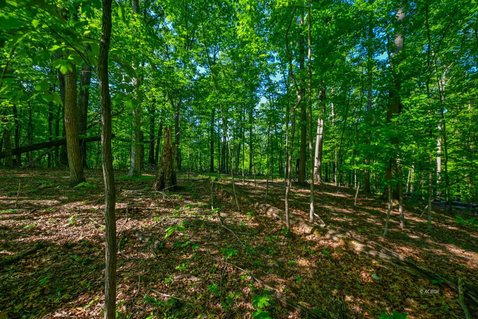 Coolville Ridge. Tract B Rd Property Photo 13