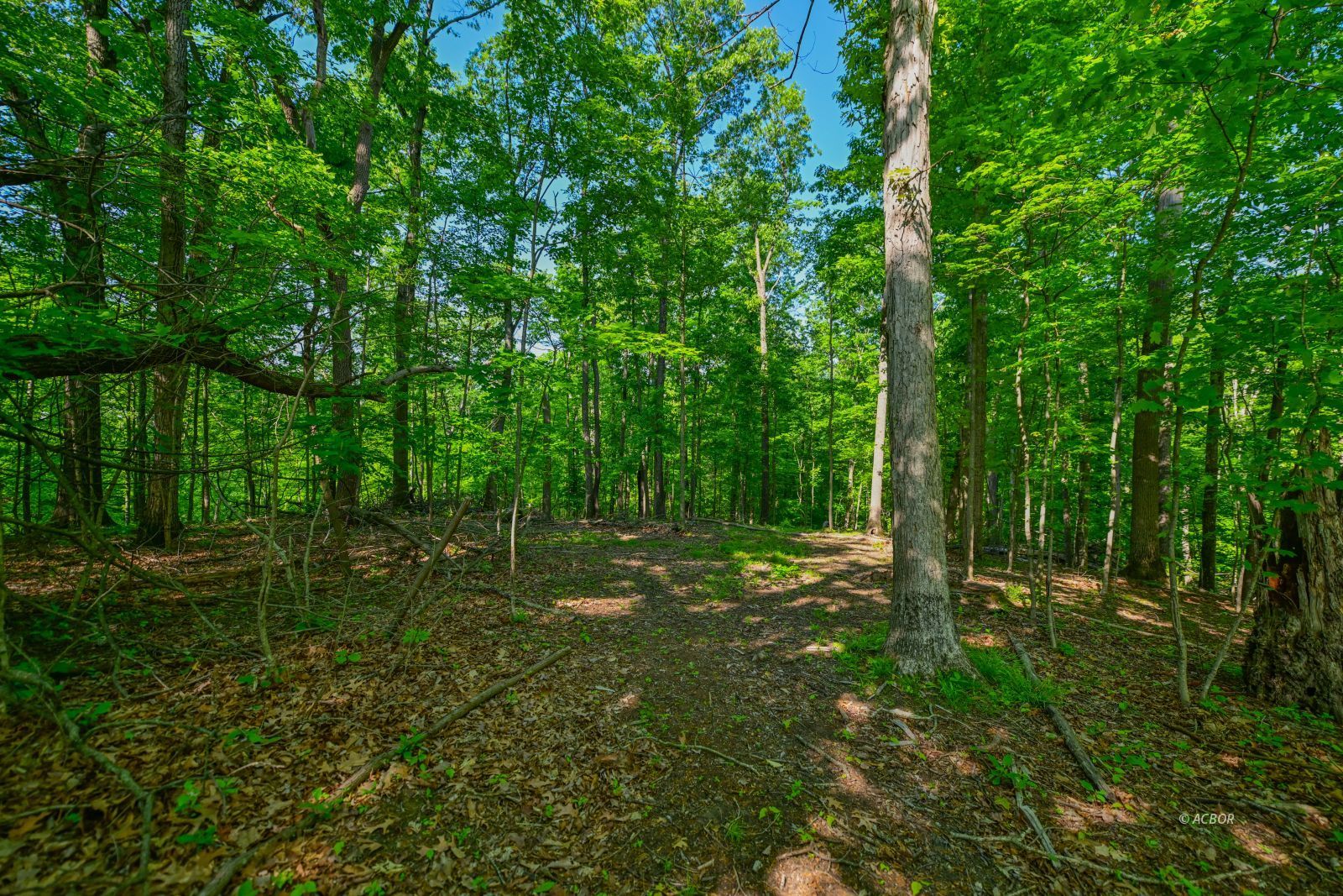 Coolville Ridge. Tract B Rd Property Photo 14