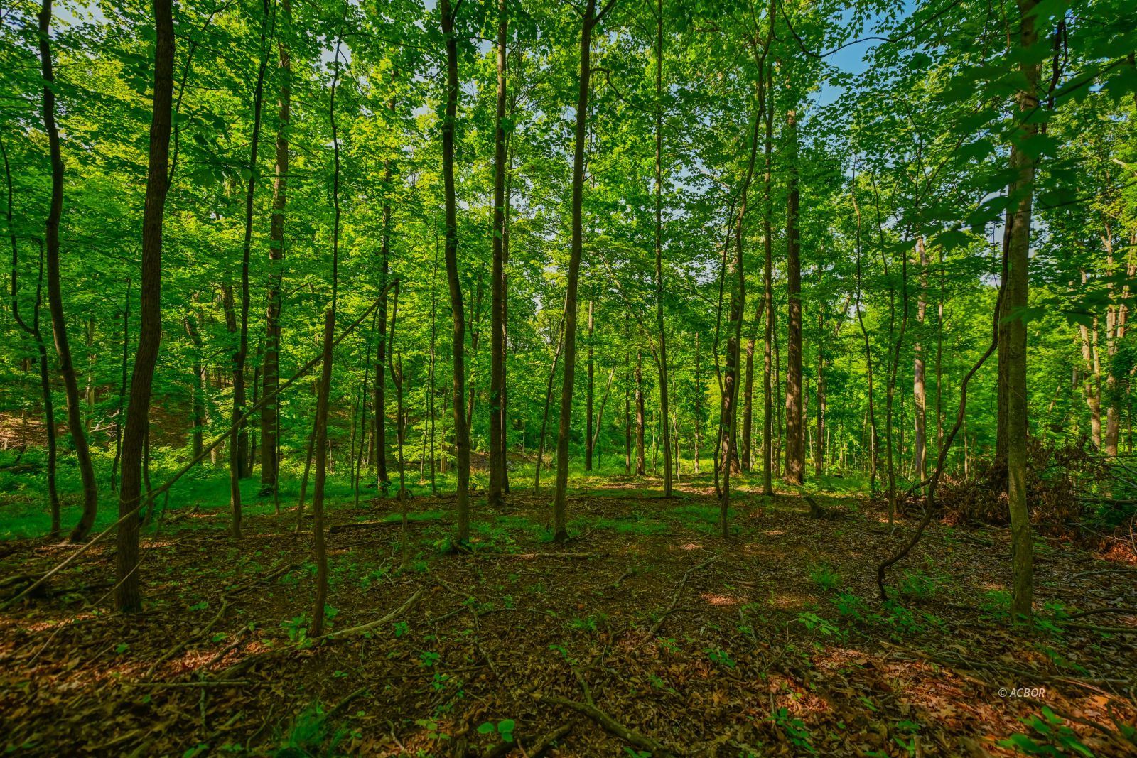Coolville Ridge. Tract B Rd Property Photo 15