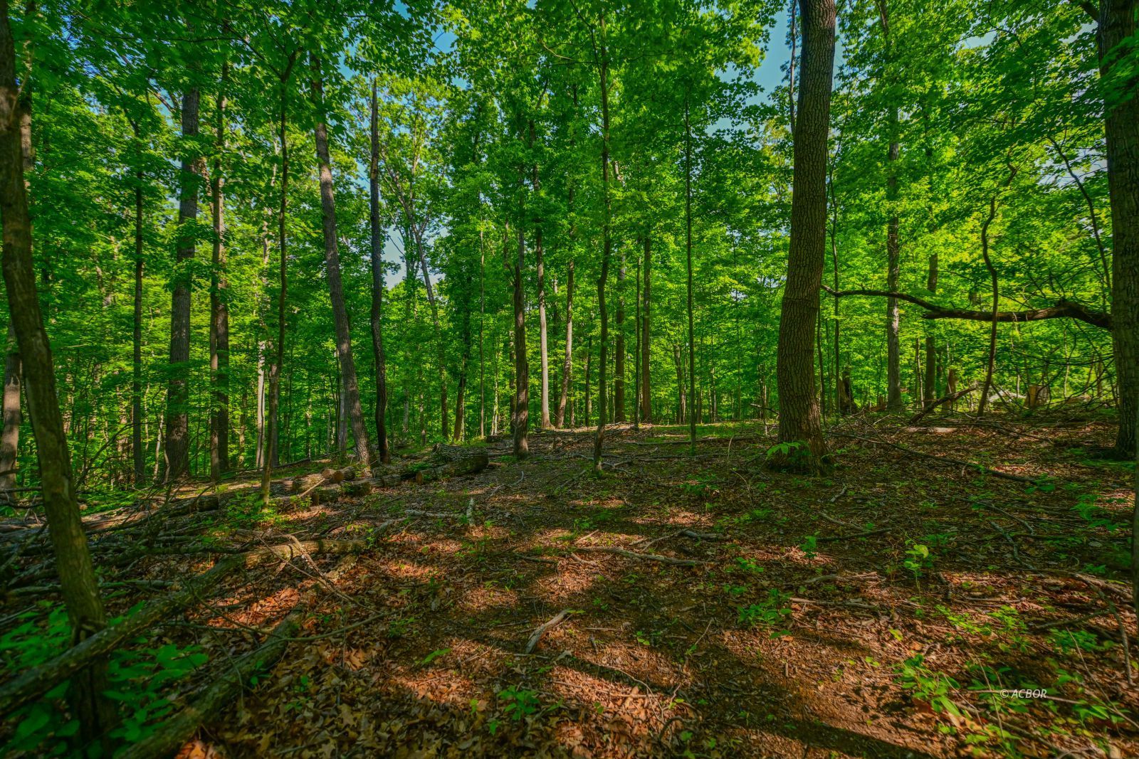 Coolville Ridge. Tract B Rd Property Photo 16