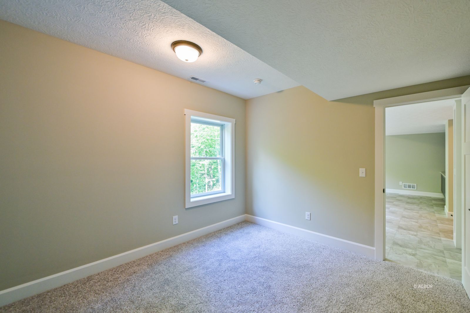 23 Walnut Ct Property Photo 45