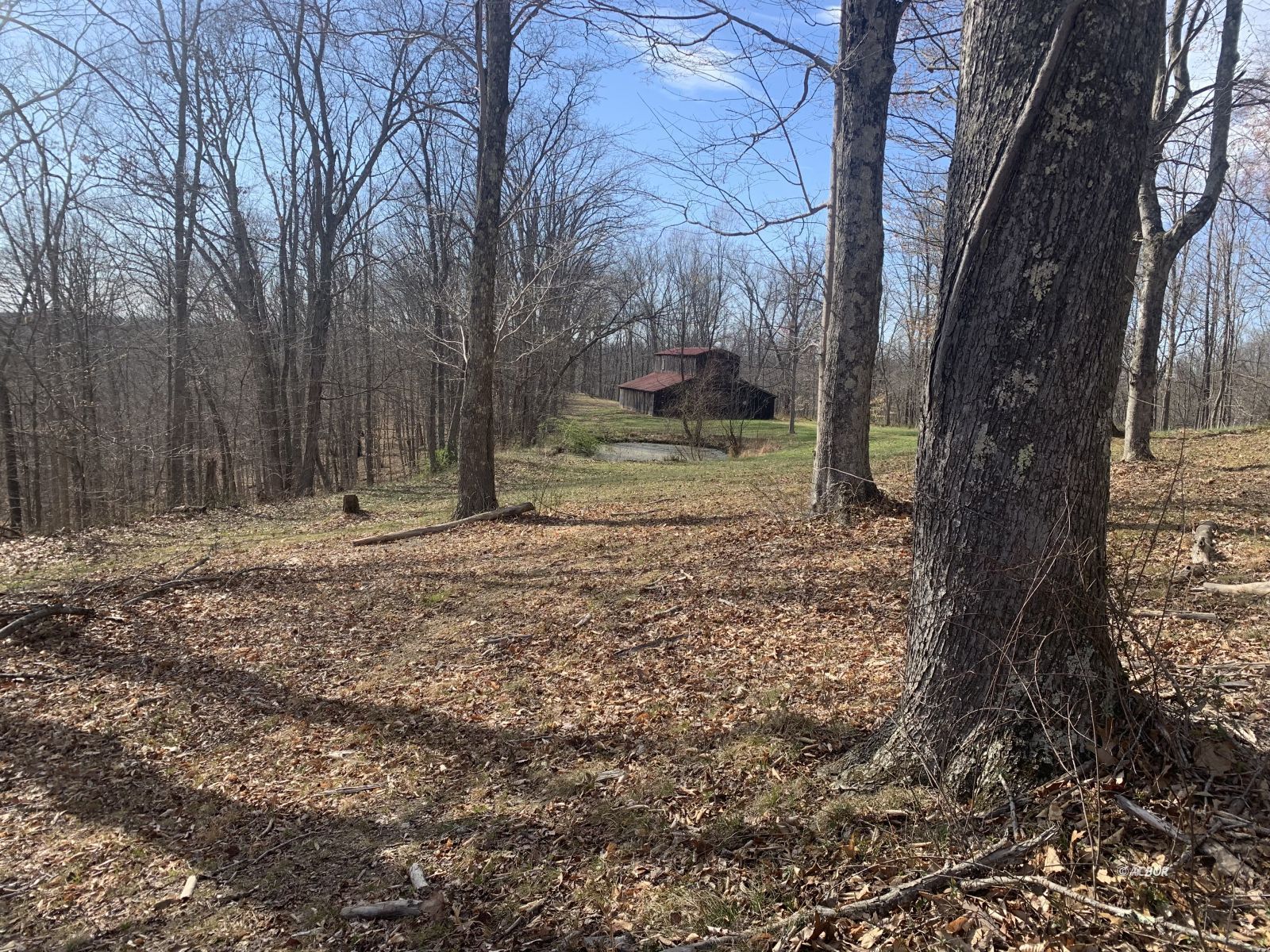 1337 Township Road 172 S Rd Property Photo 1