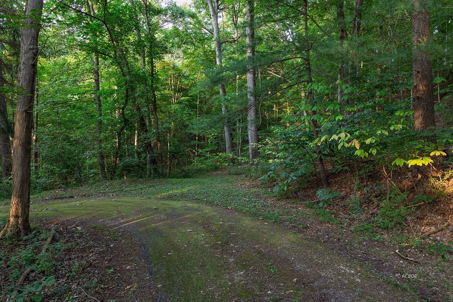 Cable Ln Property Photo 5