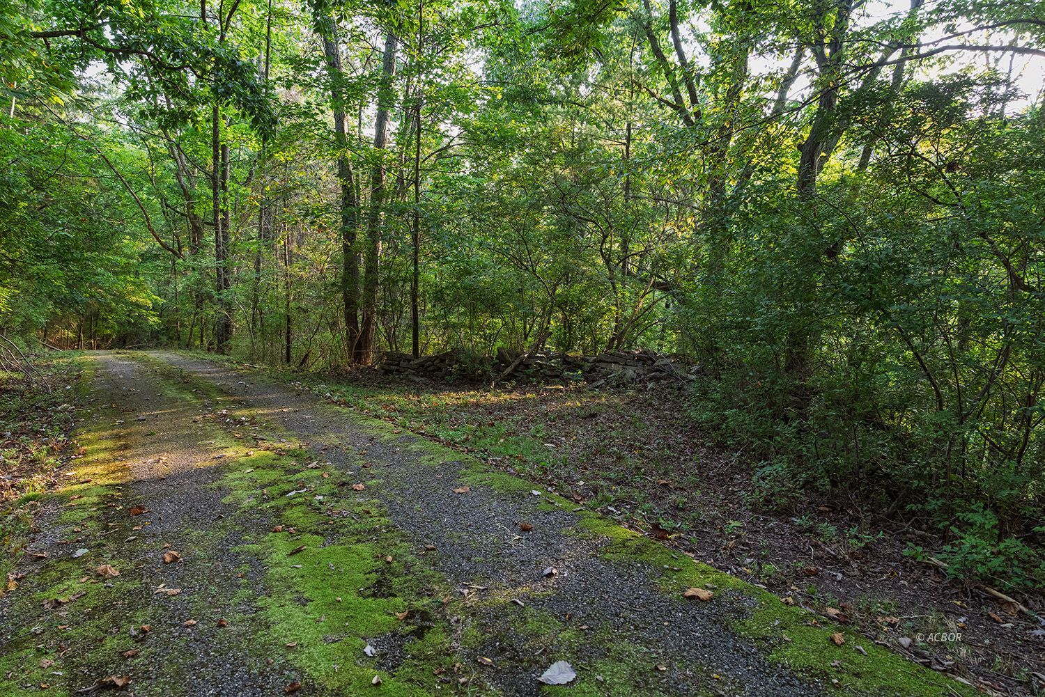 Cable Ln Property Photo 6