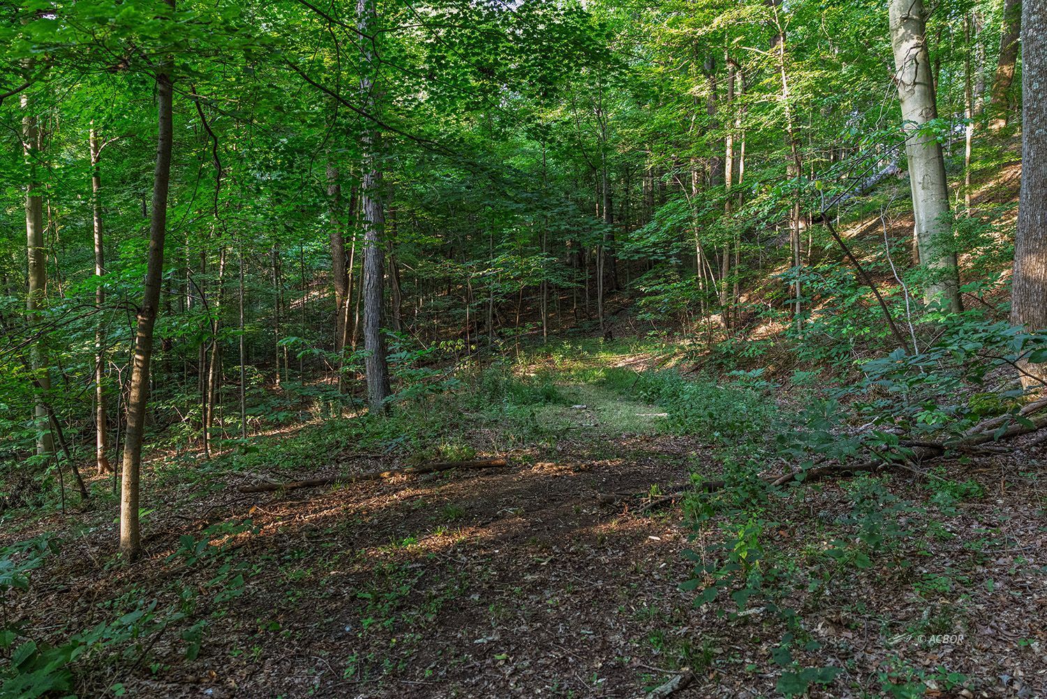 Cable Ln Property Photo 7