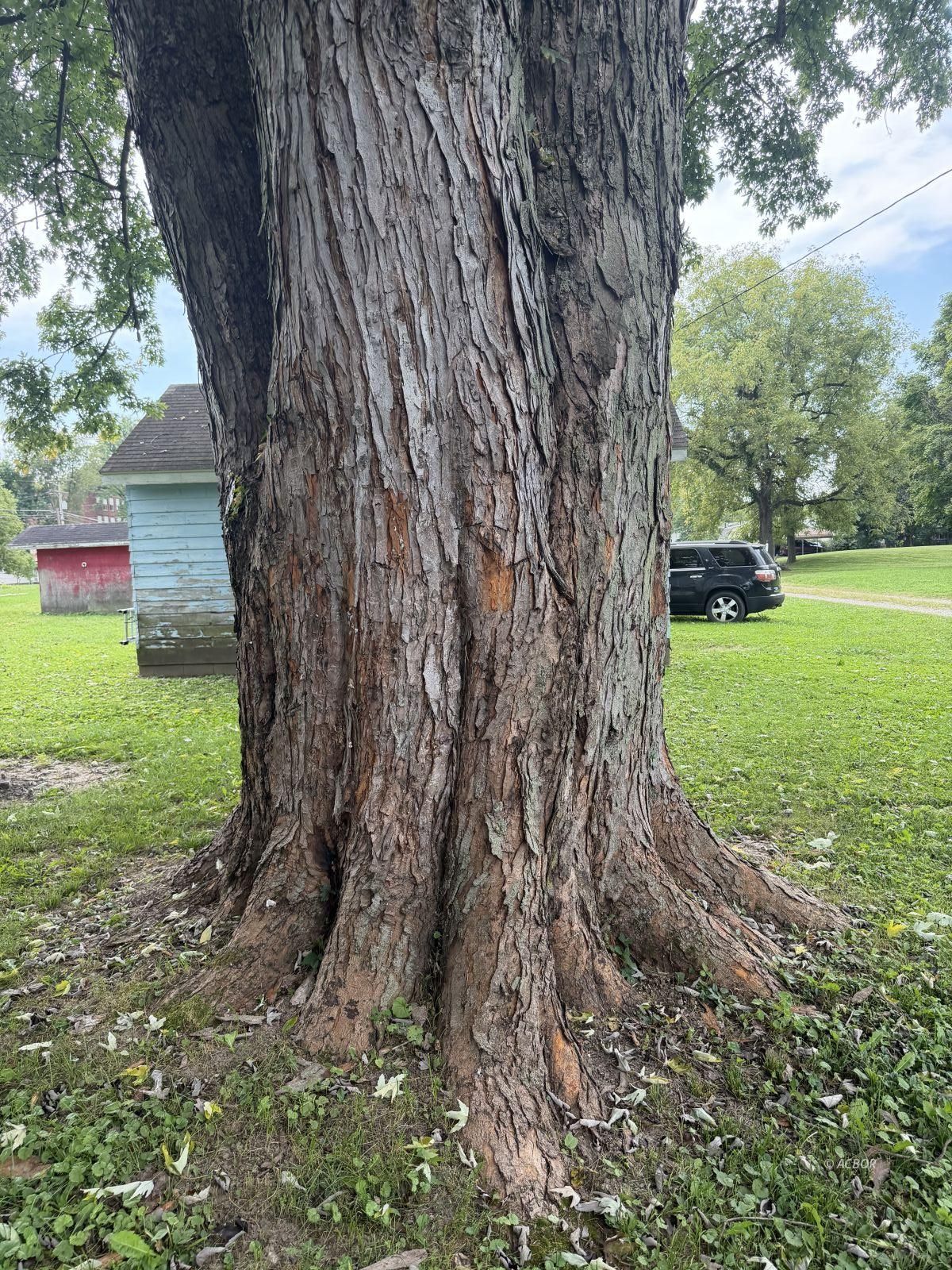 2 Jacobs Property Photo 3