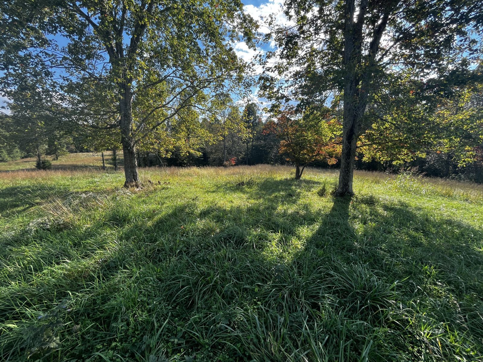 Metheny Fairplay Rd Property Photo 2