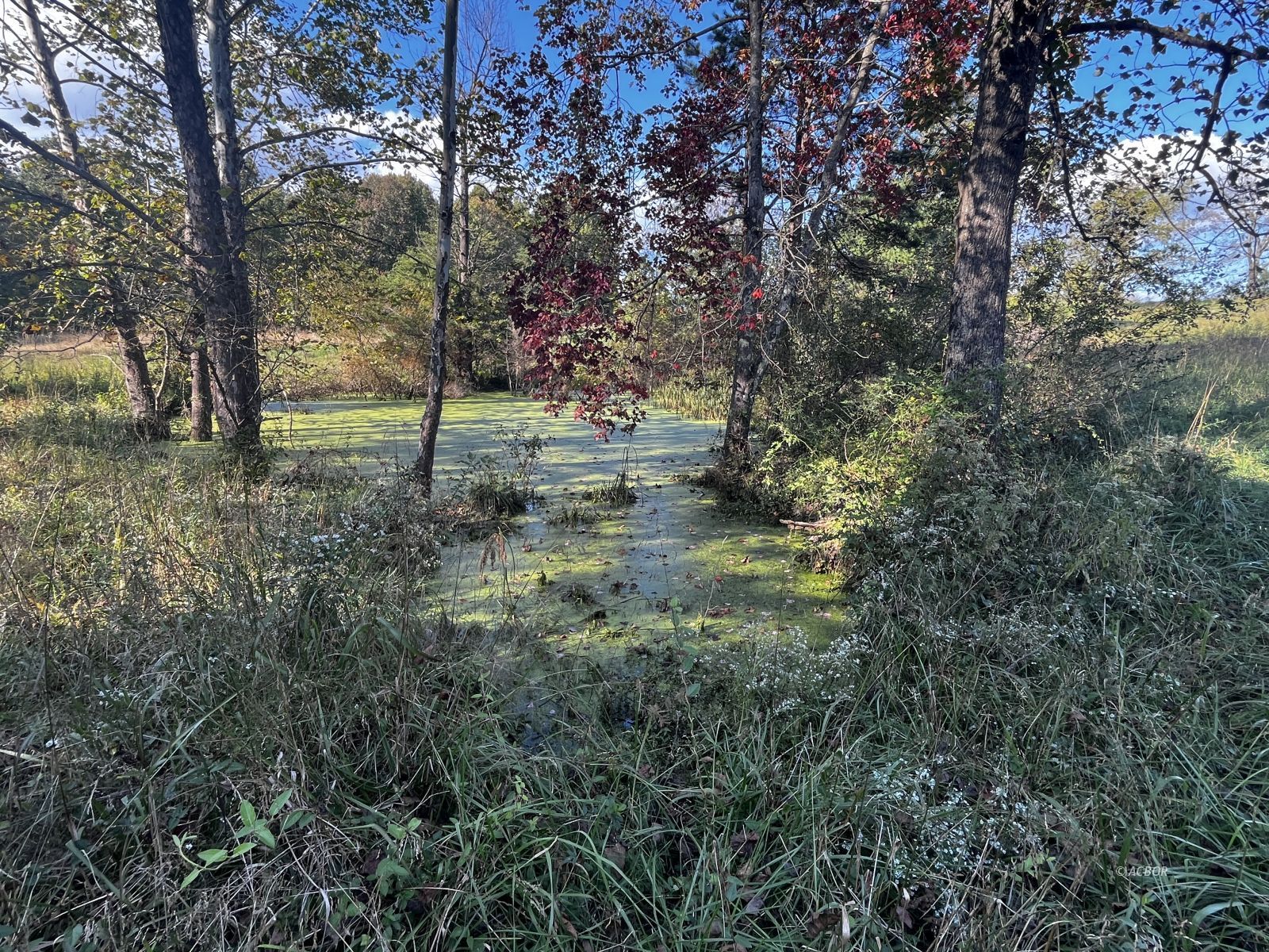 Metheny Fairplay Rd Property Photo 13