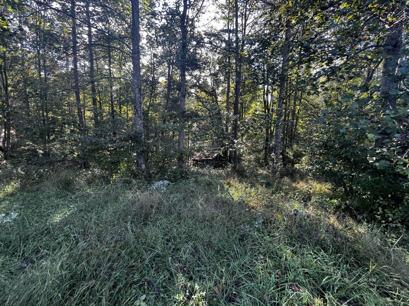 Metheny Fairplay Rd Property Photo 16