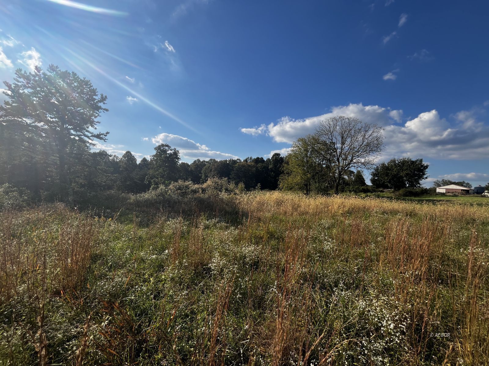 Metheny Fairplay Rd Property Photo 22