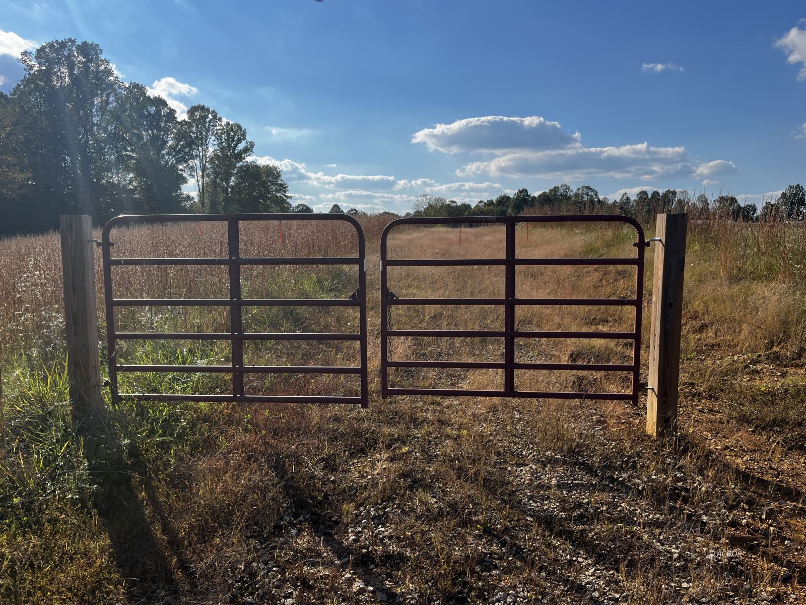Metheny Fairplay Rd Property Photo 24