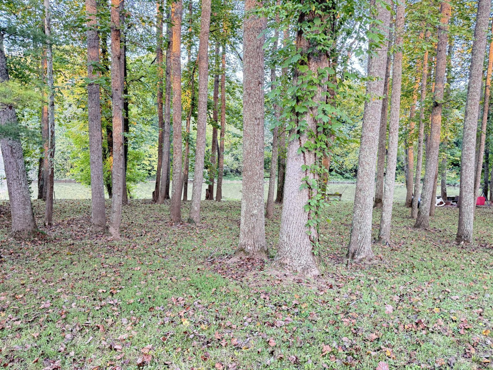 Blue Lake Property Photo 1