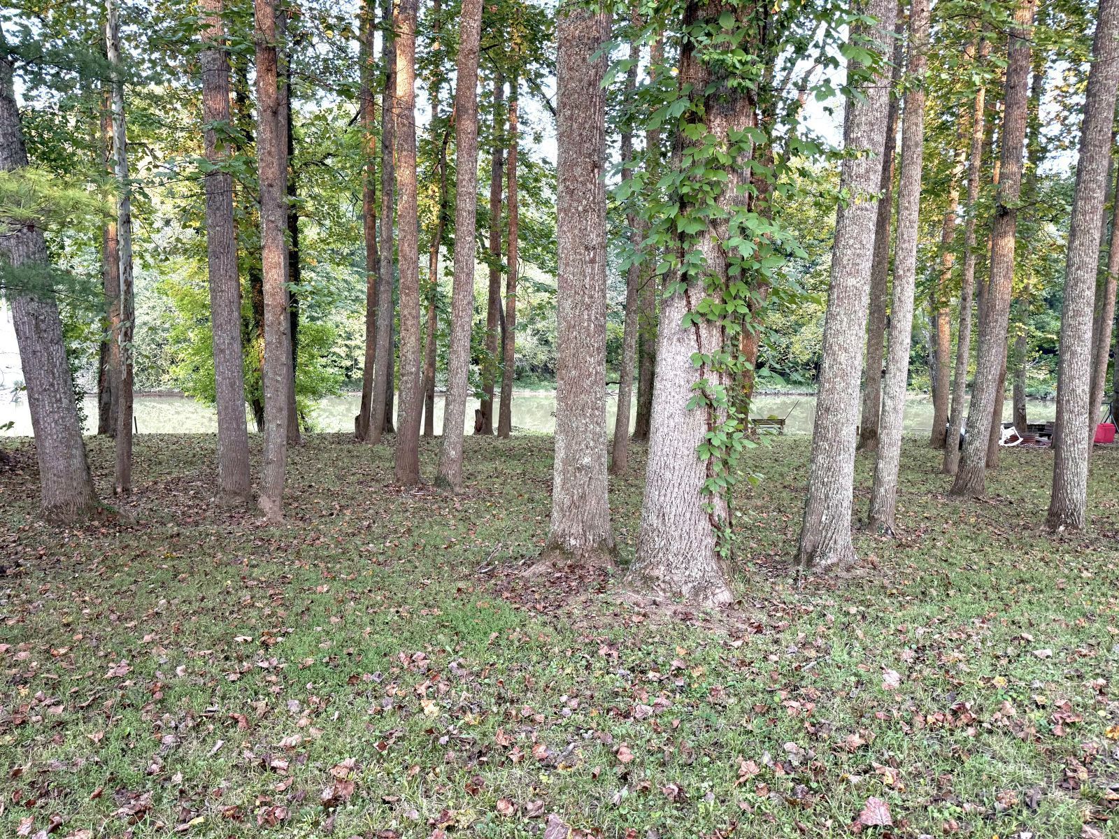 Blue Lake Property Photo 2