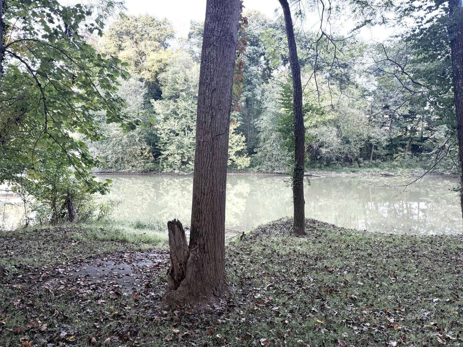 Blue Lake Property Photo 3