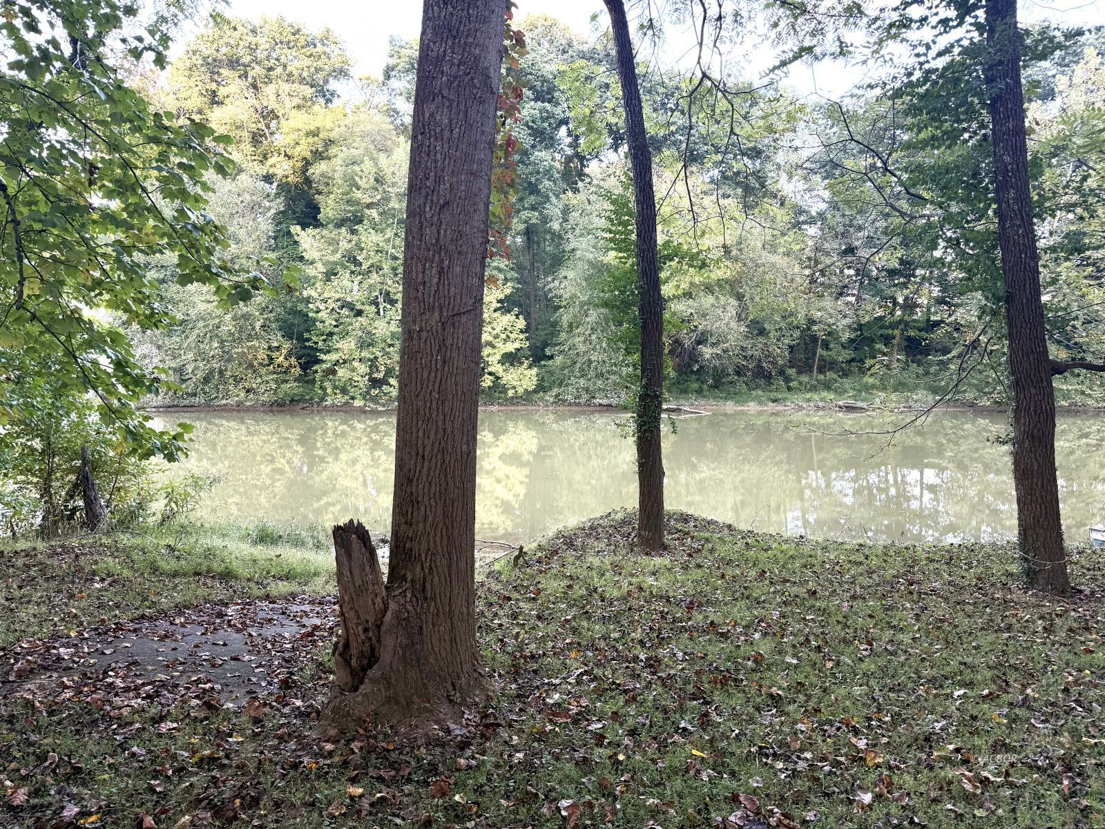 Blue Lake Property Photo 4