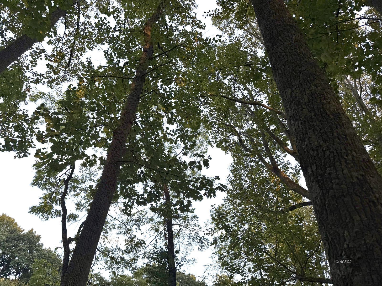 Blue Lake Property Photo 5