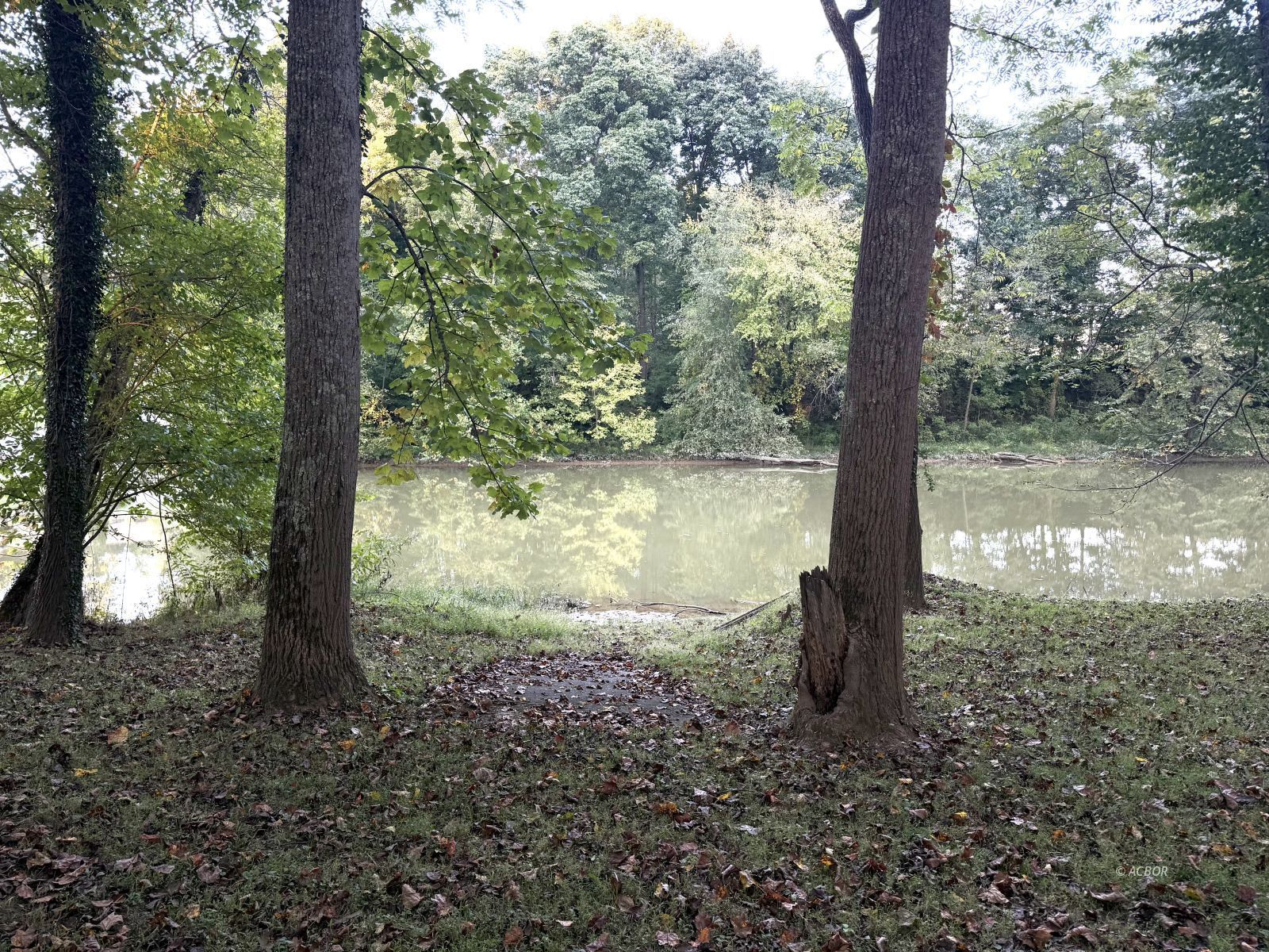 Blue Lake Property Photo 7