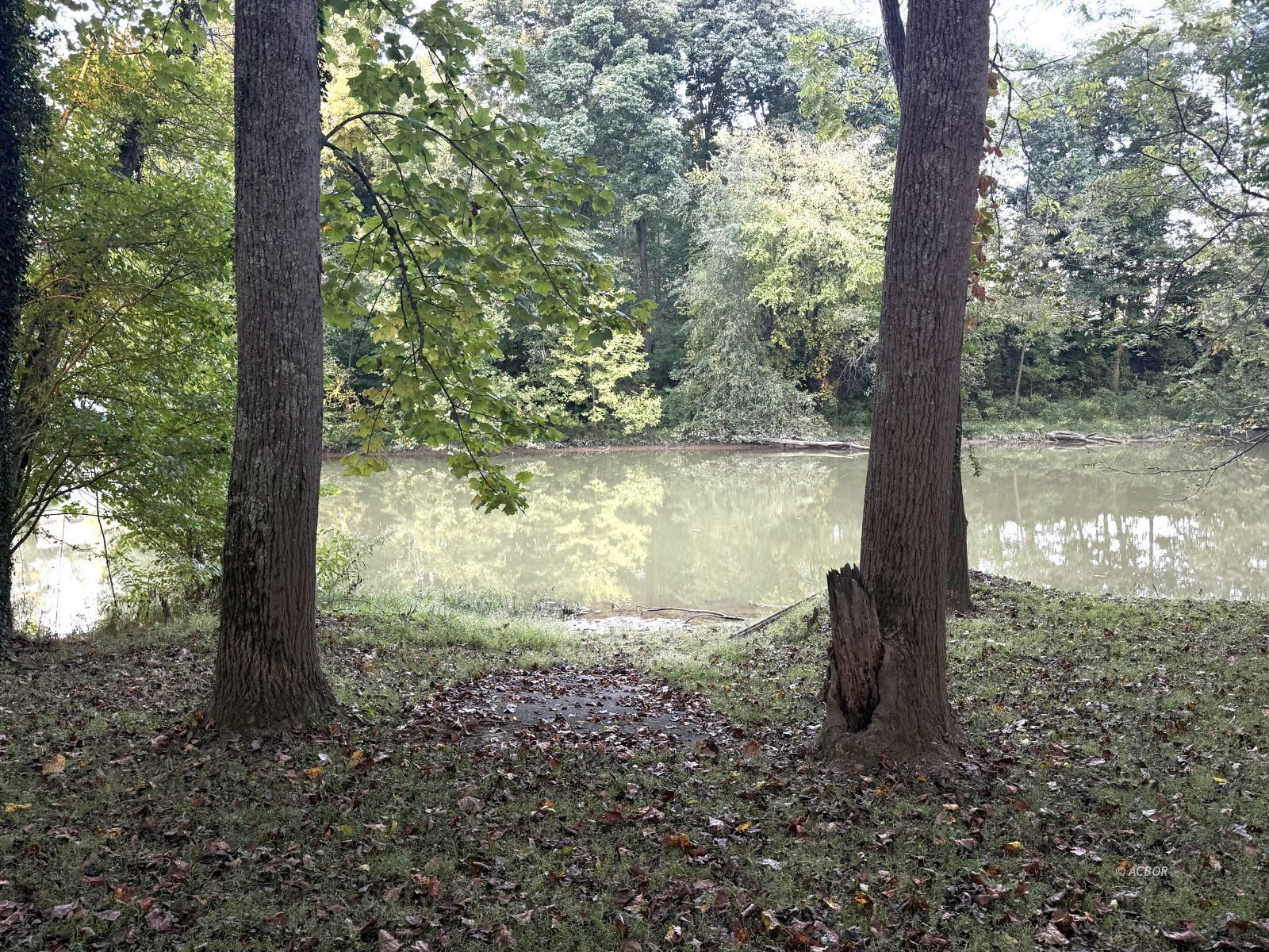 Blue Lake Property Photo 8