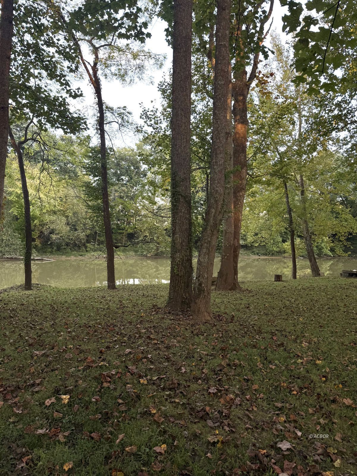 Blue Lake Property Photo 9