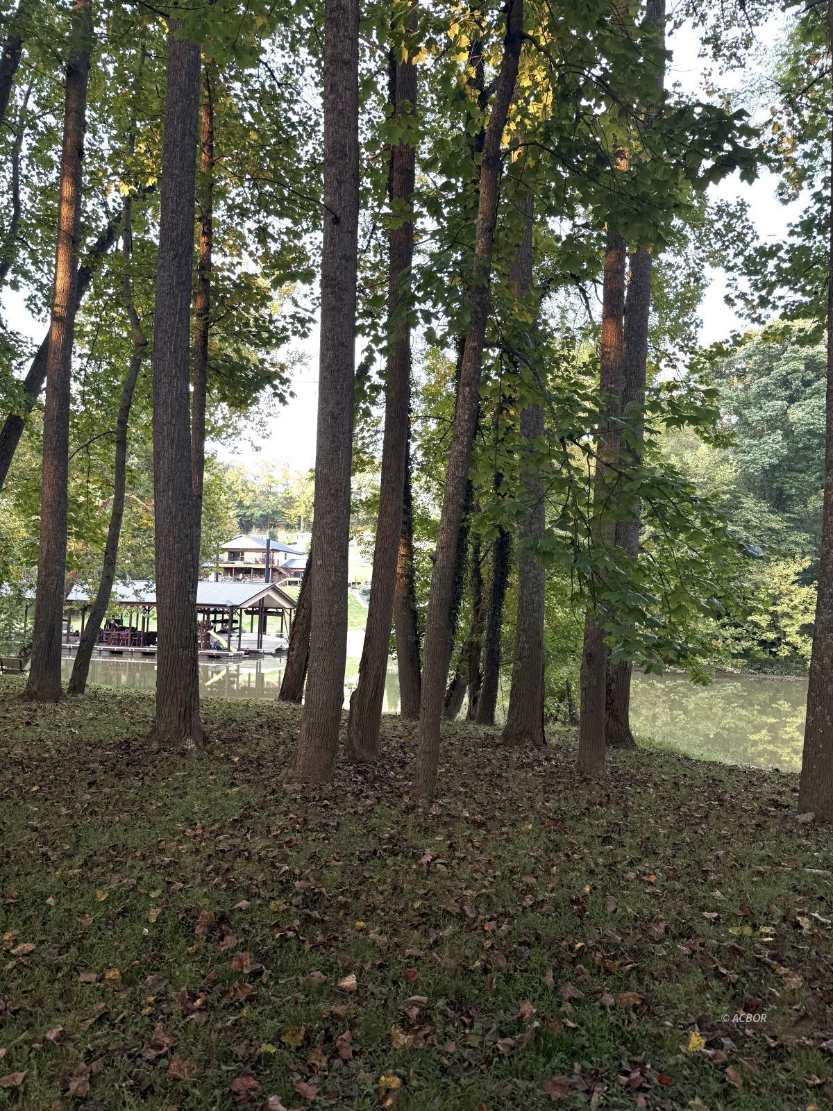 Blue Lake Property Photo 10