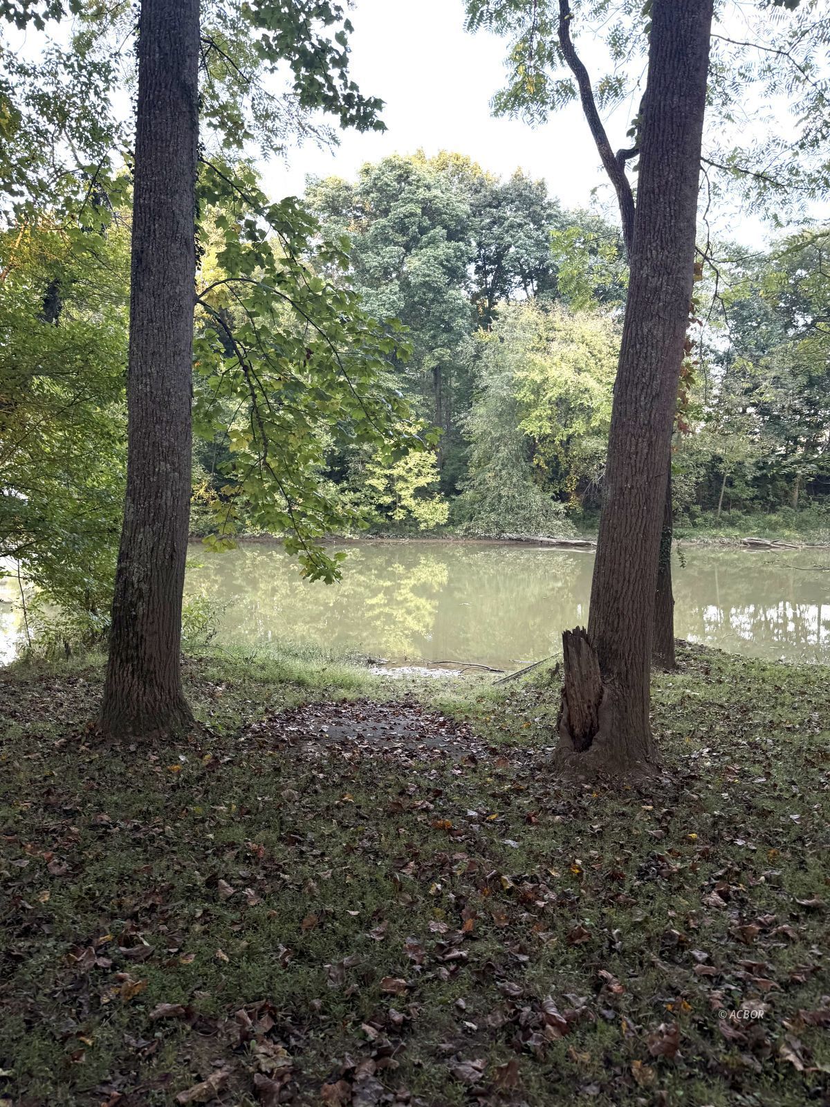 Blue Lake Property Photo 11