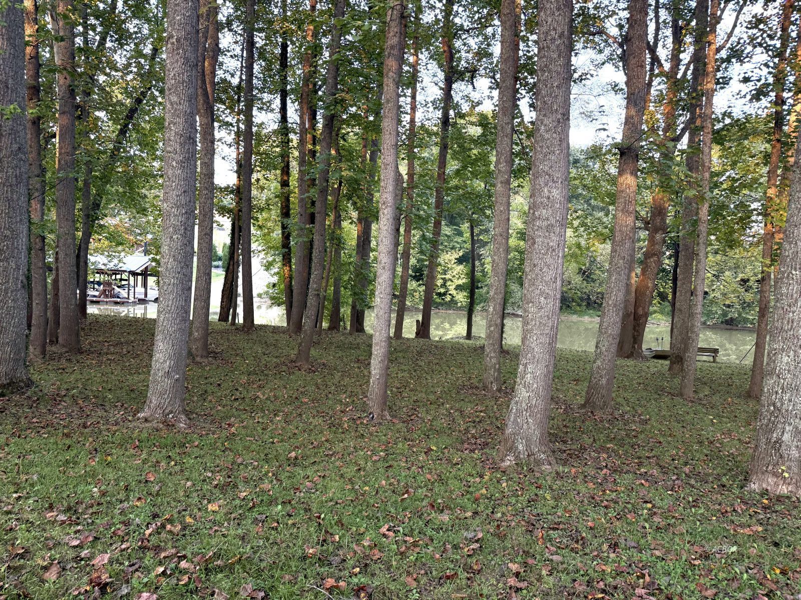 Blue Lake Property Photo 12