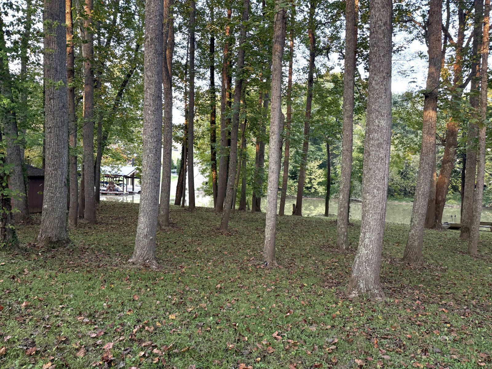 Blue Lake Property Photo 13
