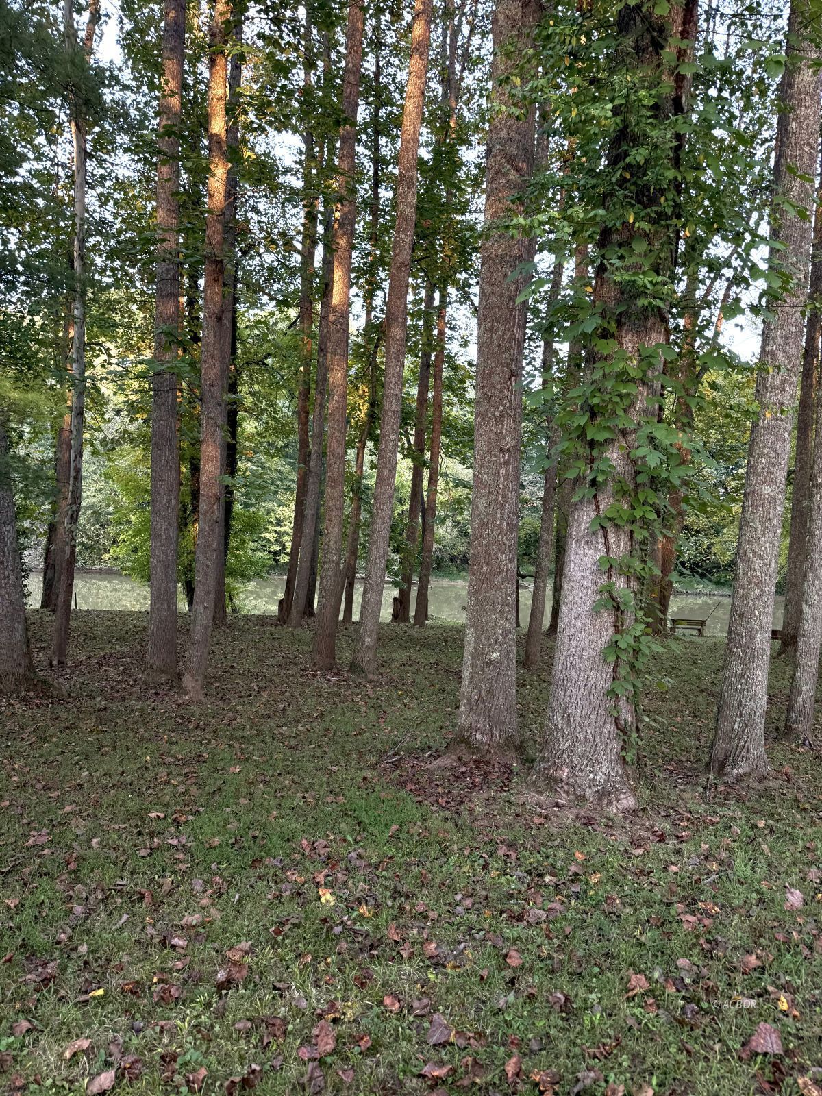 Blue Lake Property Photo 14