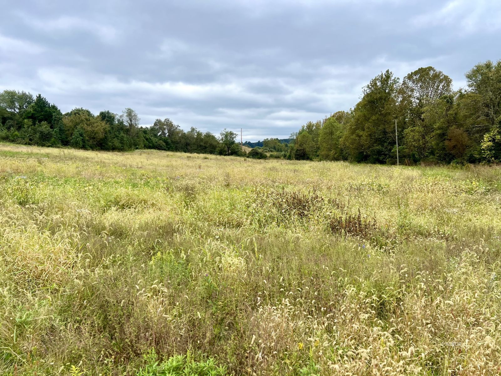 State Route 588 Property Photo 23