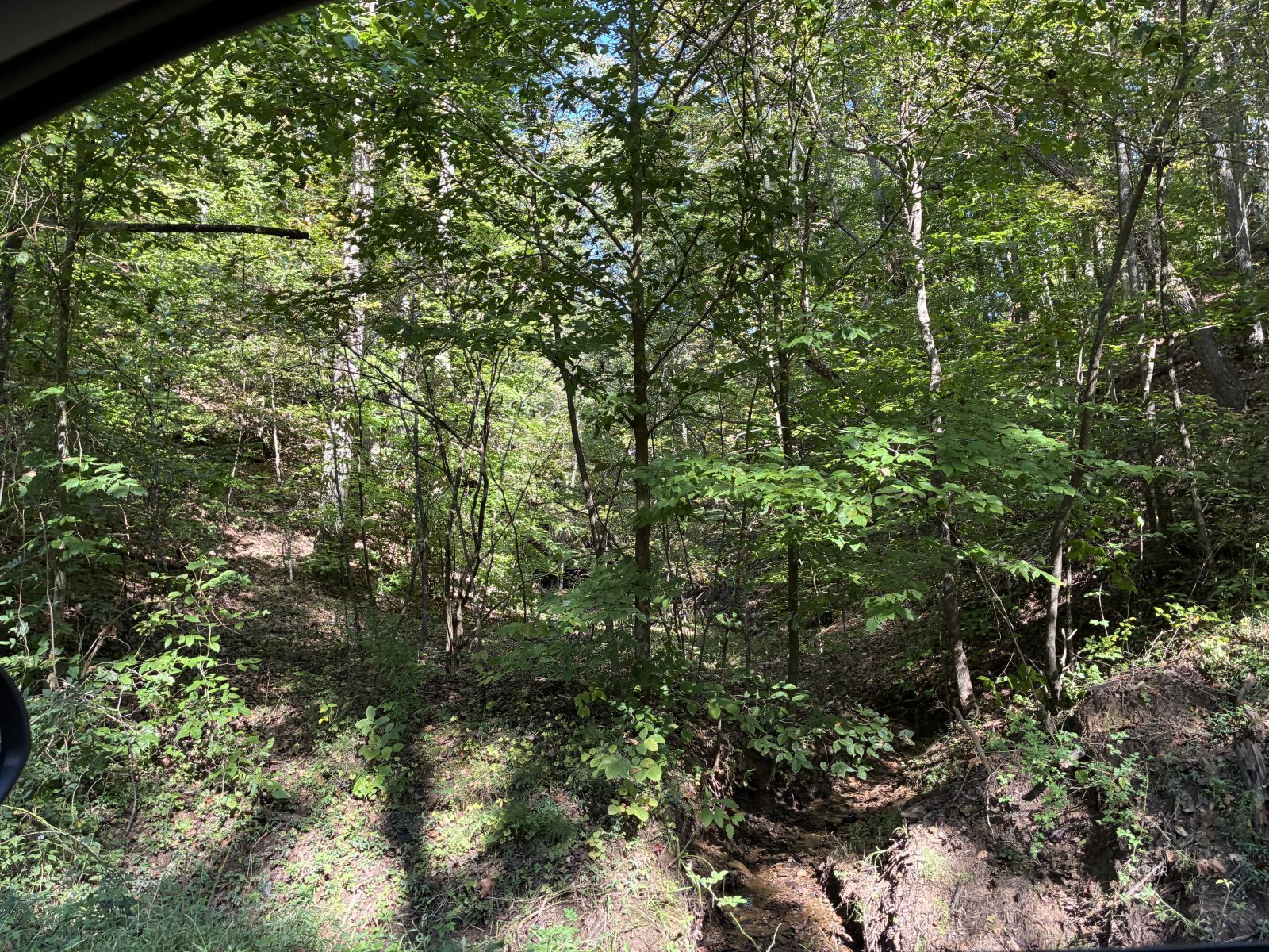 Long Hollow Rd Property Photo 4