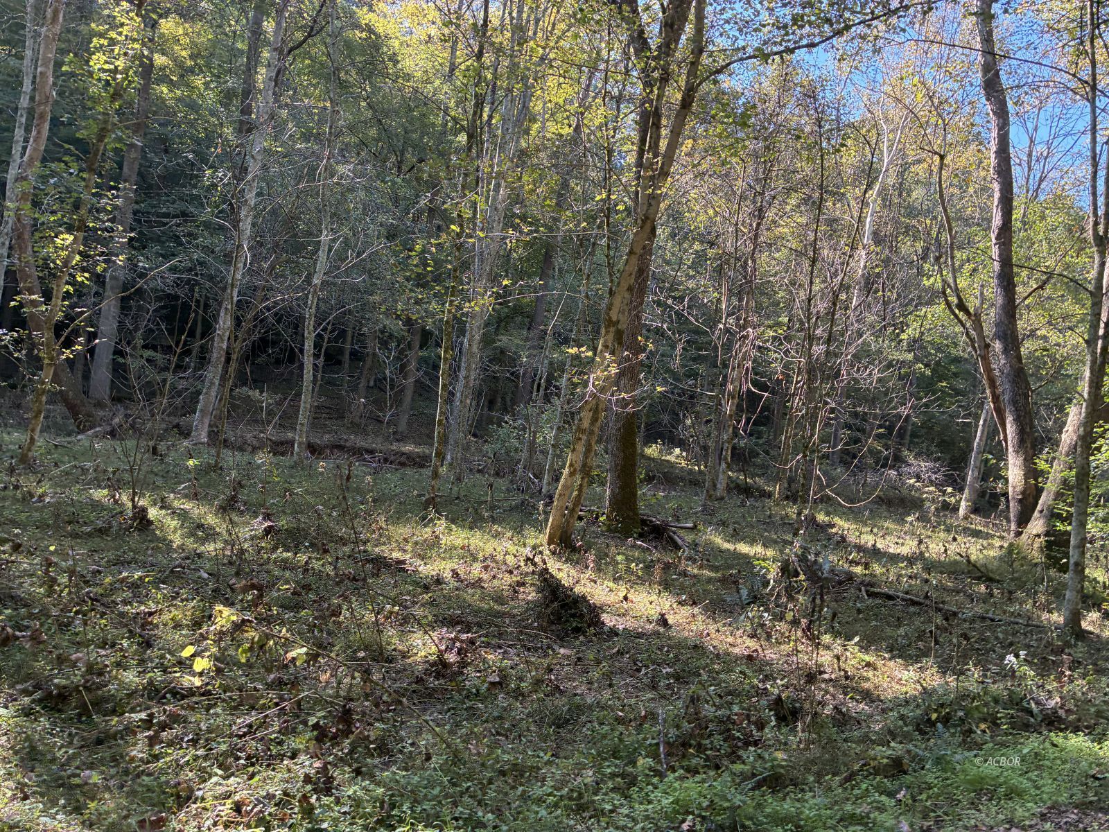 Long Hollow Rd Property Photo 5