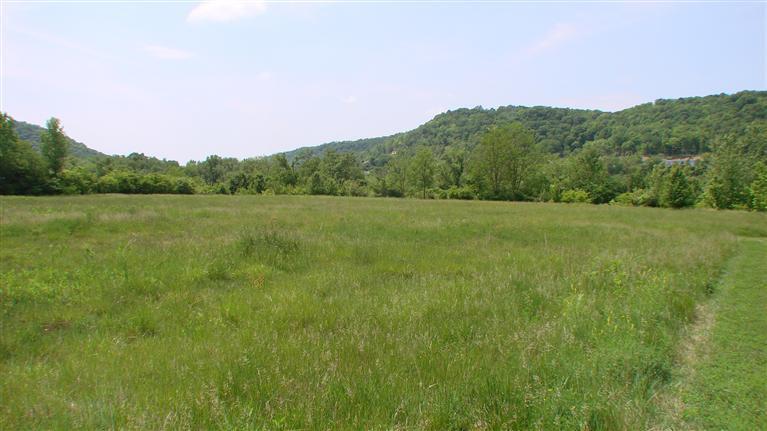 - Town Drive And Crossing Drive Property Photo 1
