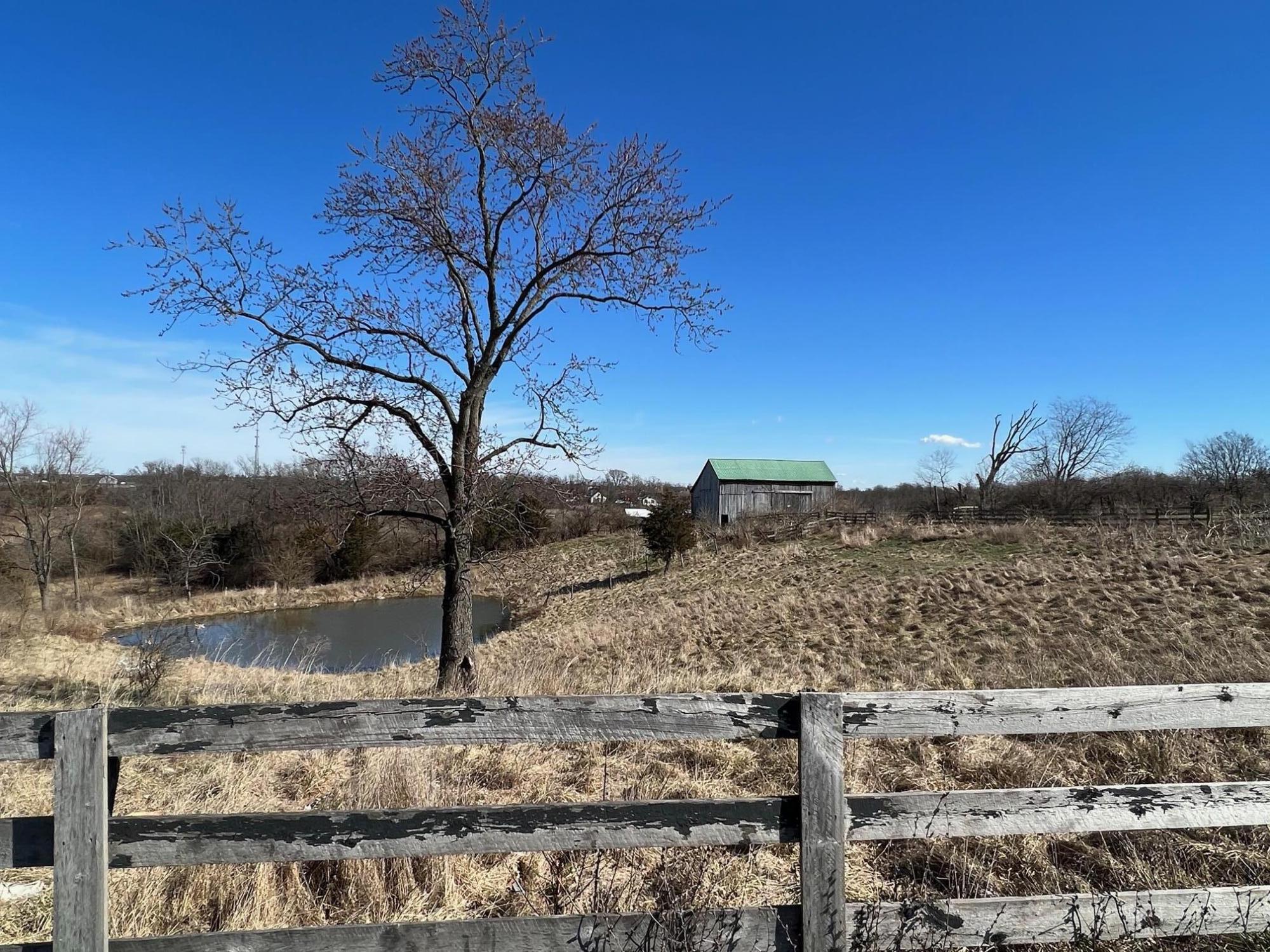 12 Enzweiler Road Property Photo 5