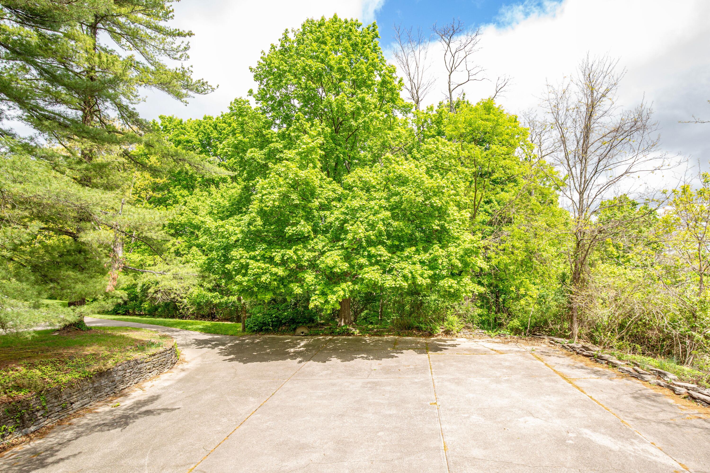 150 Shamrock Lane Property Photo 47