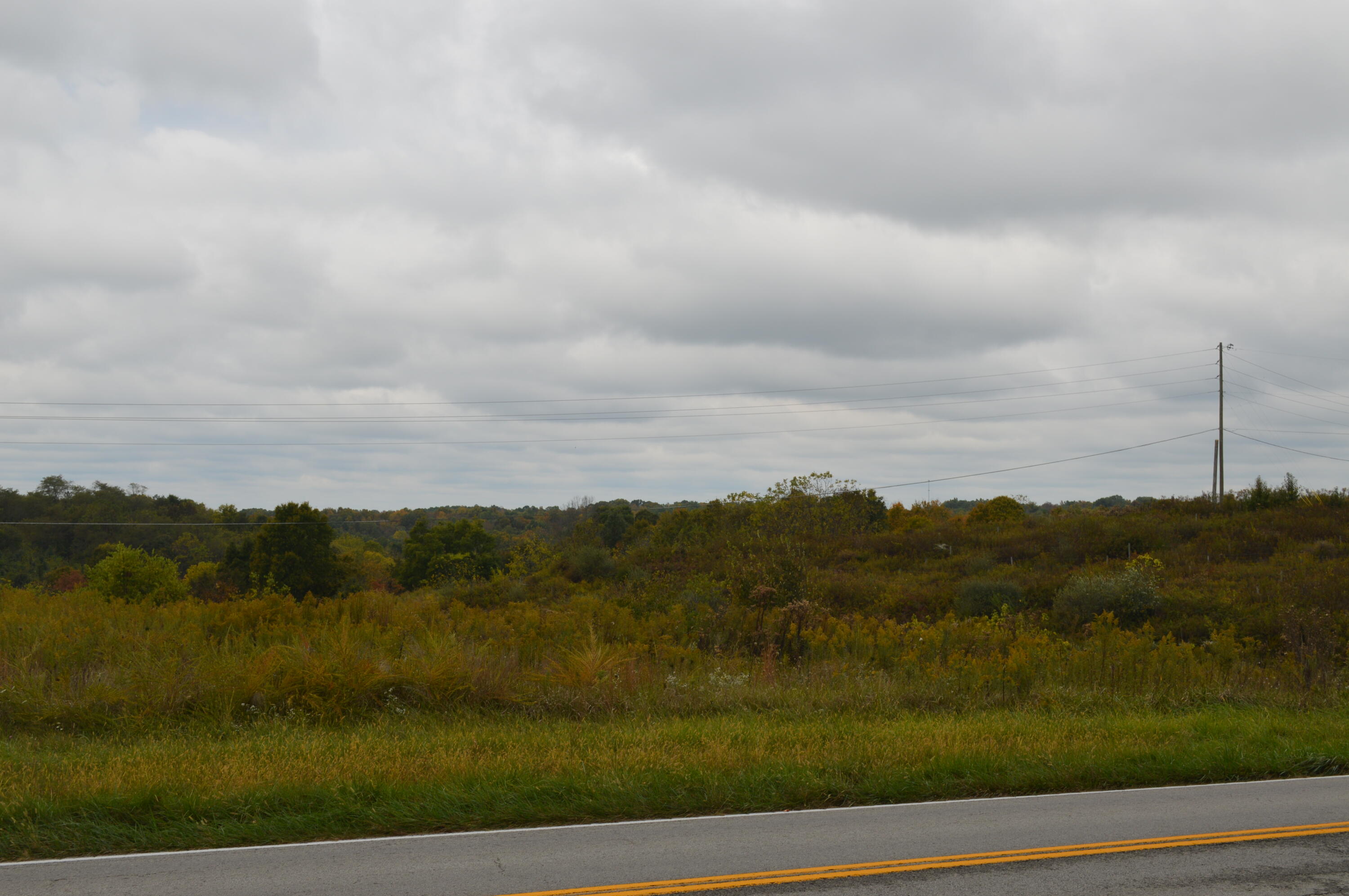 Lot #1 Georgetown Road Property Photo 7