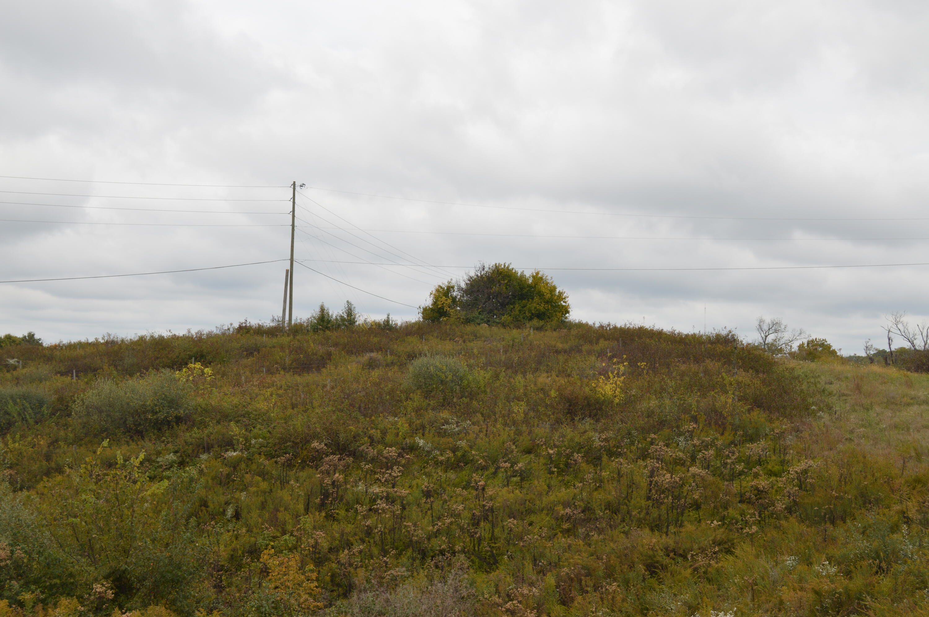 Lot #1 Georgetown Road Property Photo 8