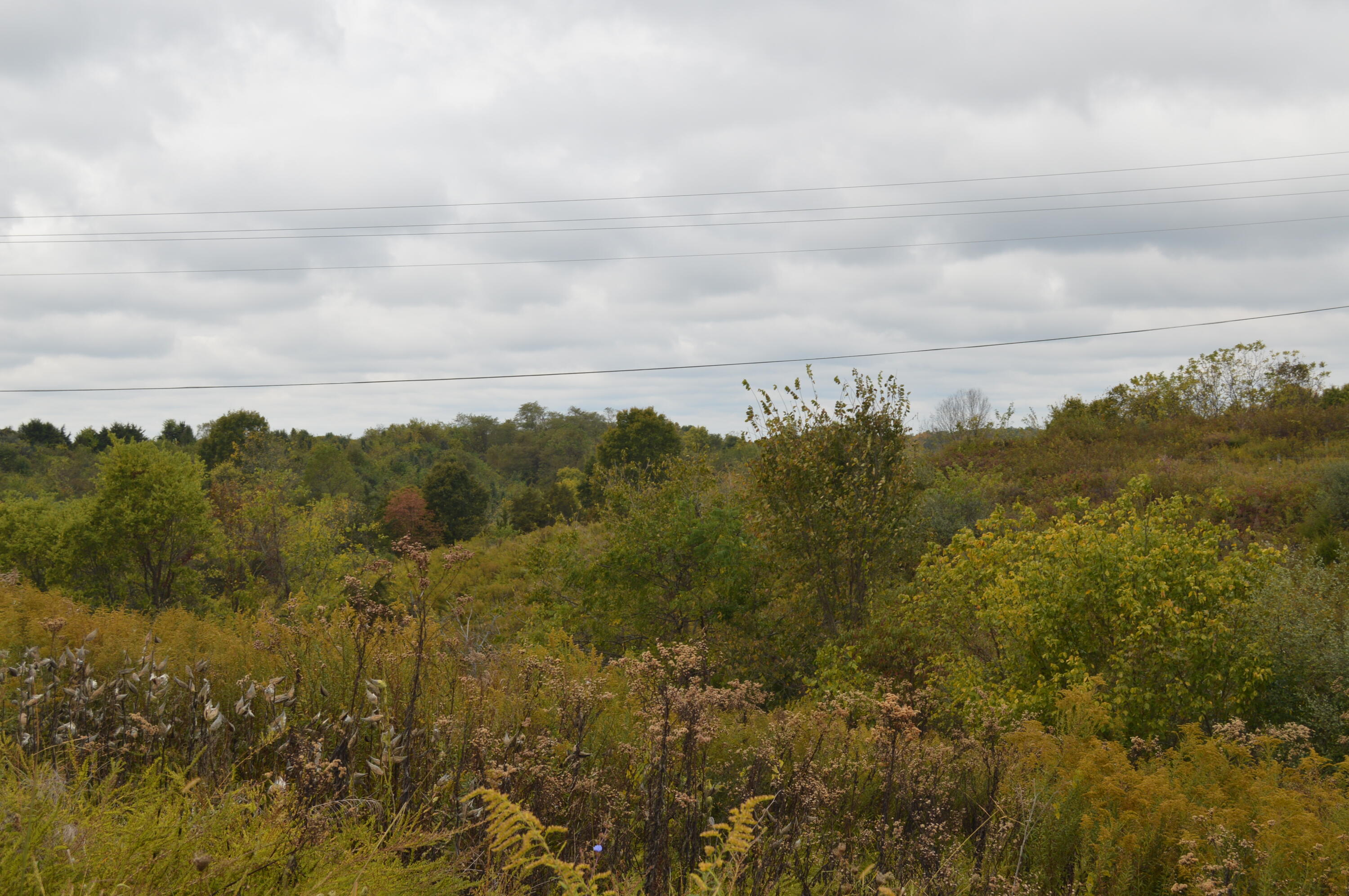 Lot #1 Georgetown Road Property Photo 9